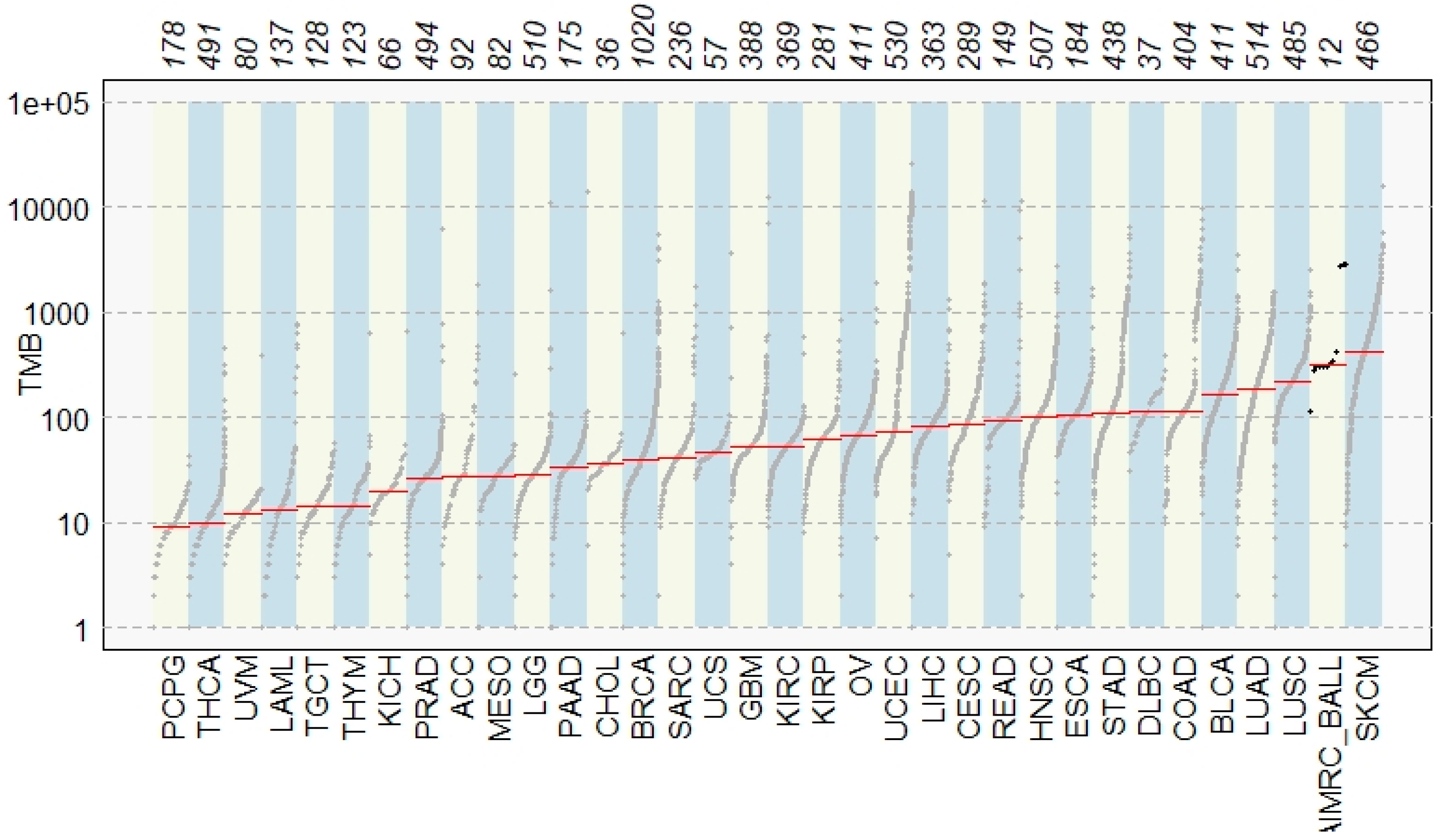 Genes 12 01326 g003 550