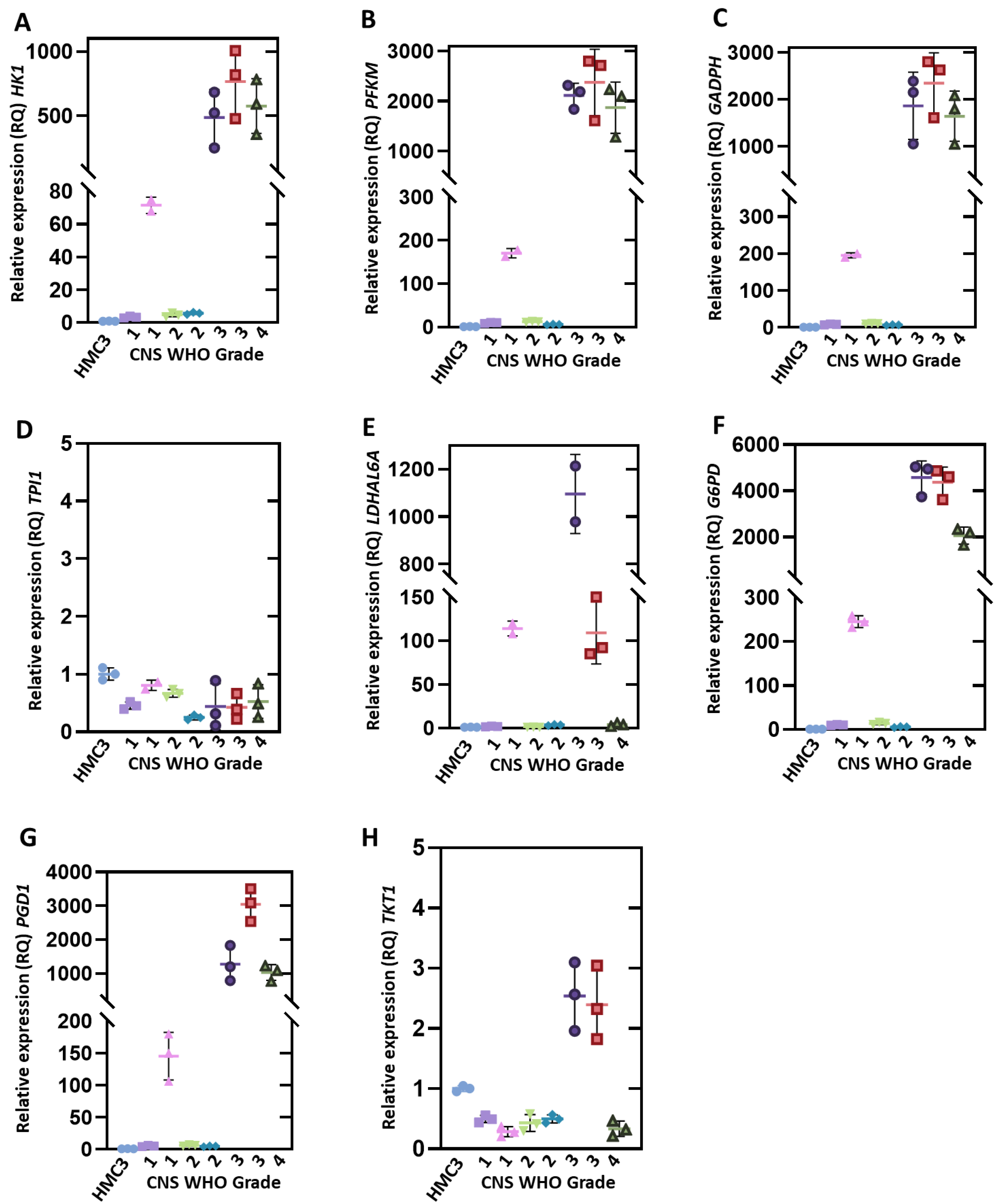 Genes 12 01335 g002 Genes 12 01335 g002