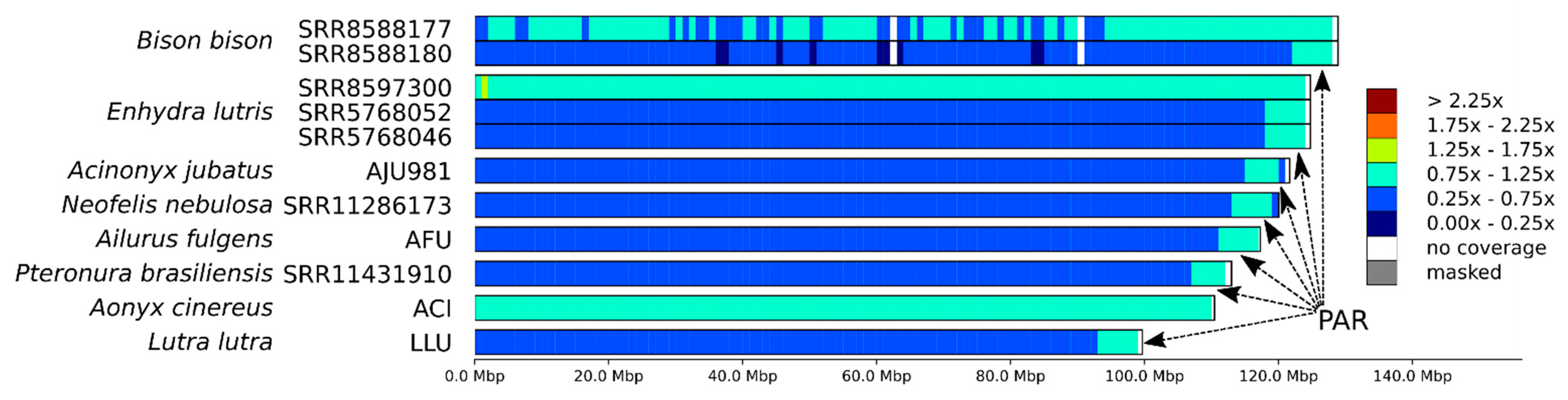 Genes 12 01336 g004 Genes 12 01336 g004