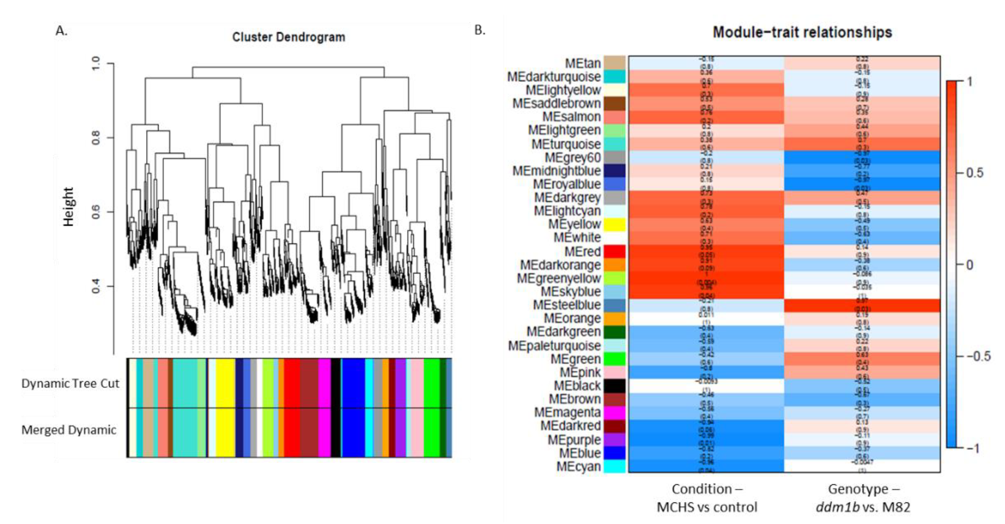 Genes 12 01337 g002 550