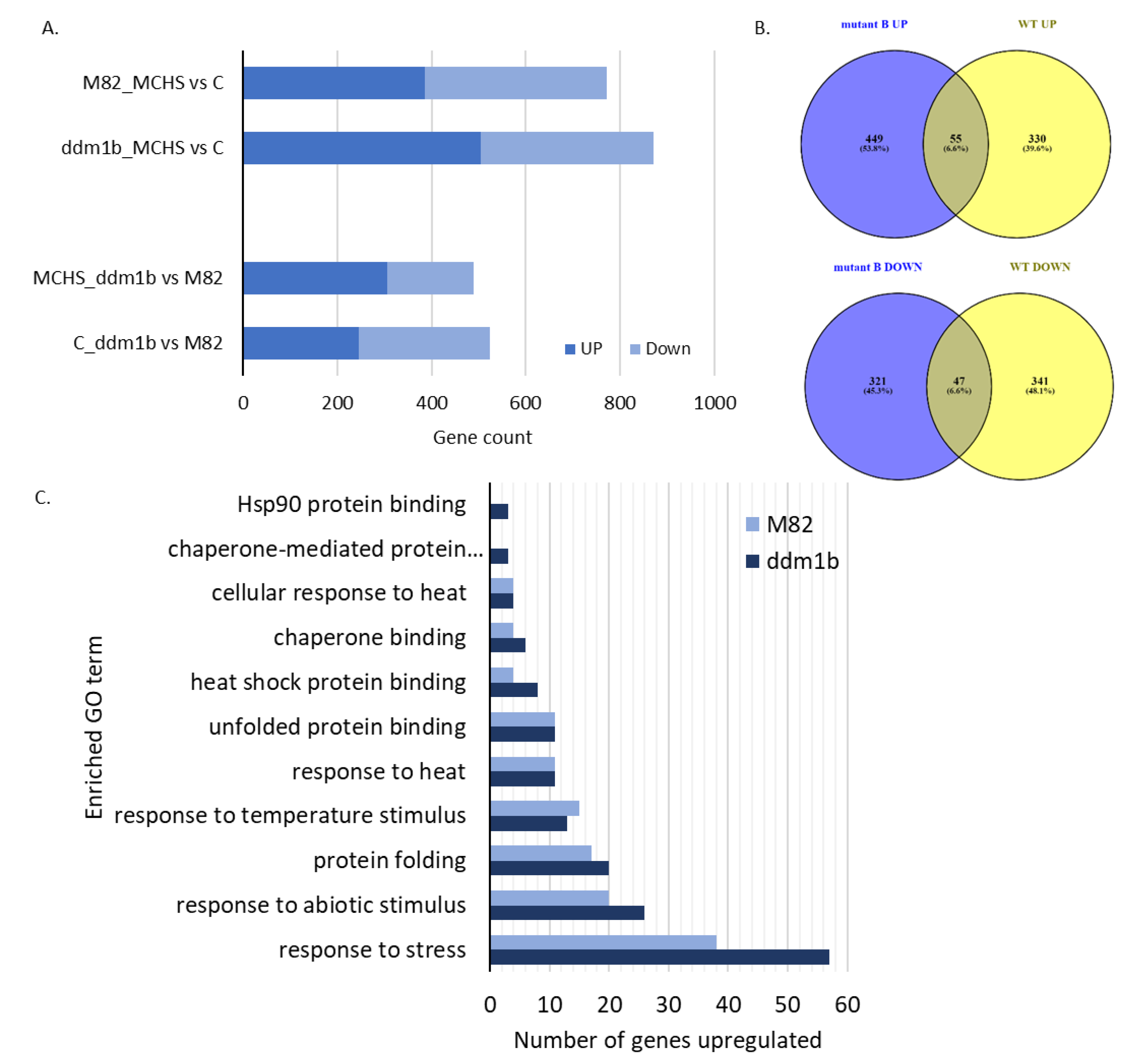 Genes 12 01337 g003 550