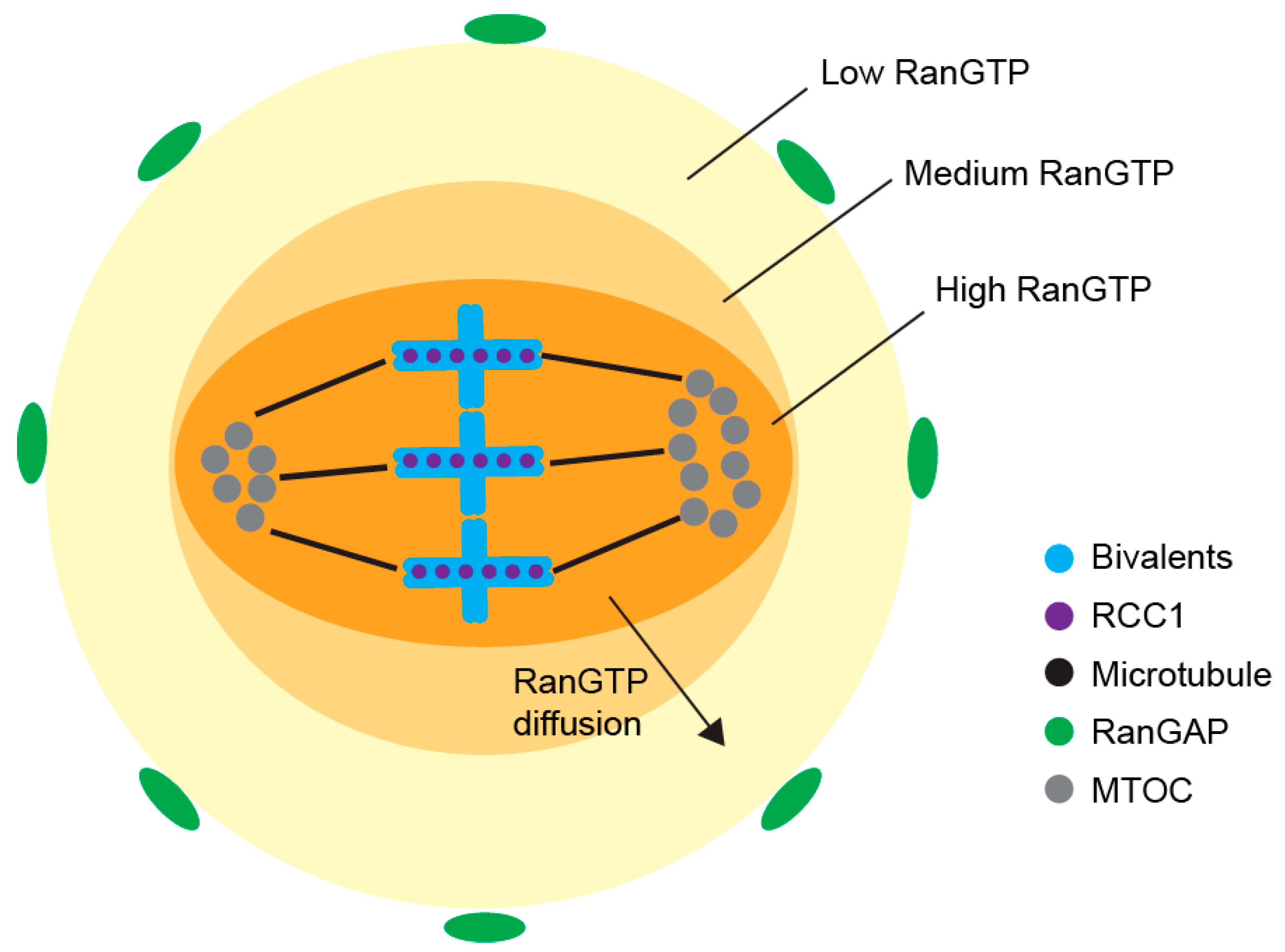 Genes 12 01338 g005 Genes 12 01338 g005