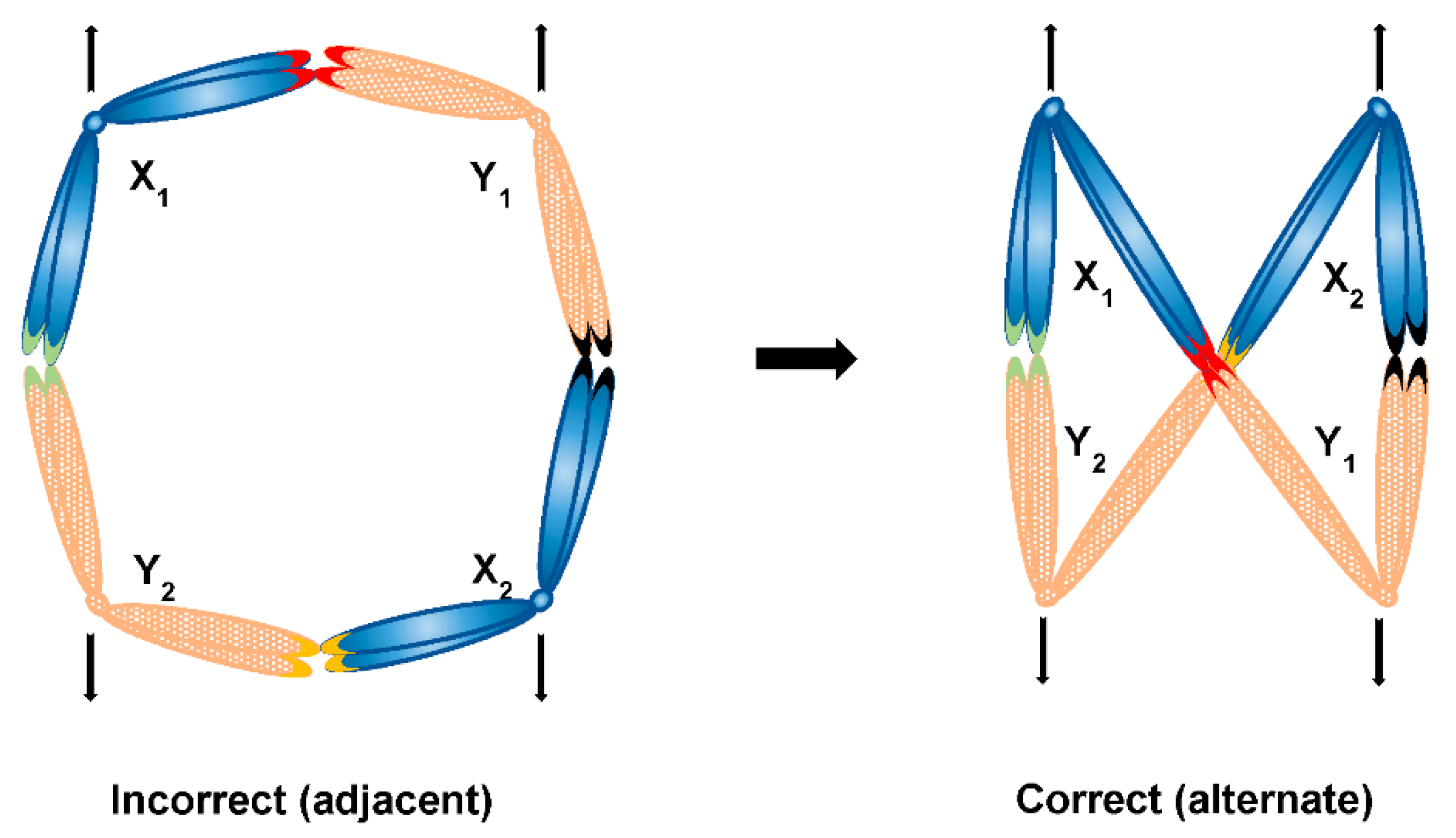 Genes 12 01338 g008 Genes 12 01338 g008