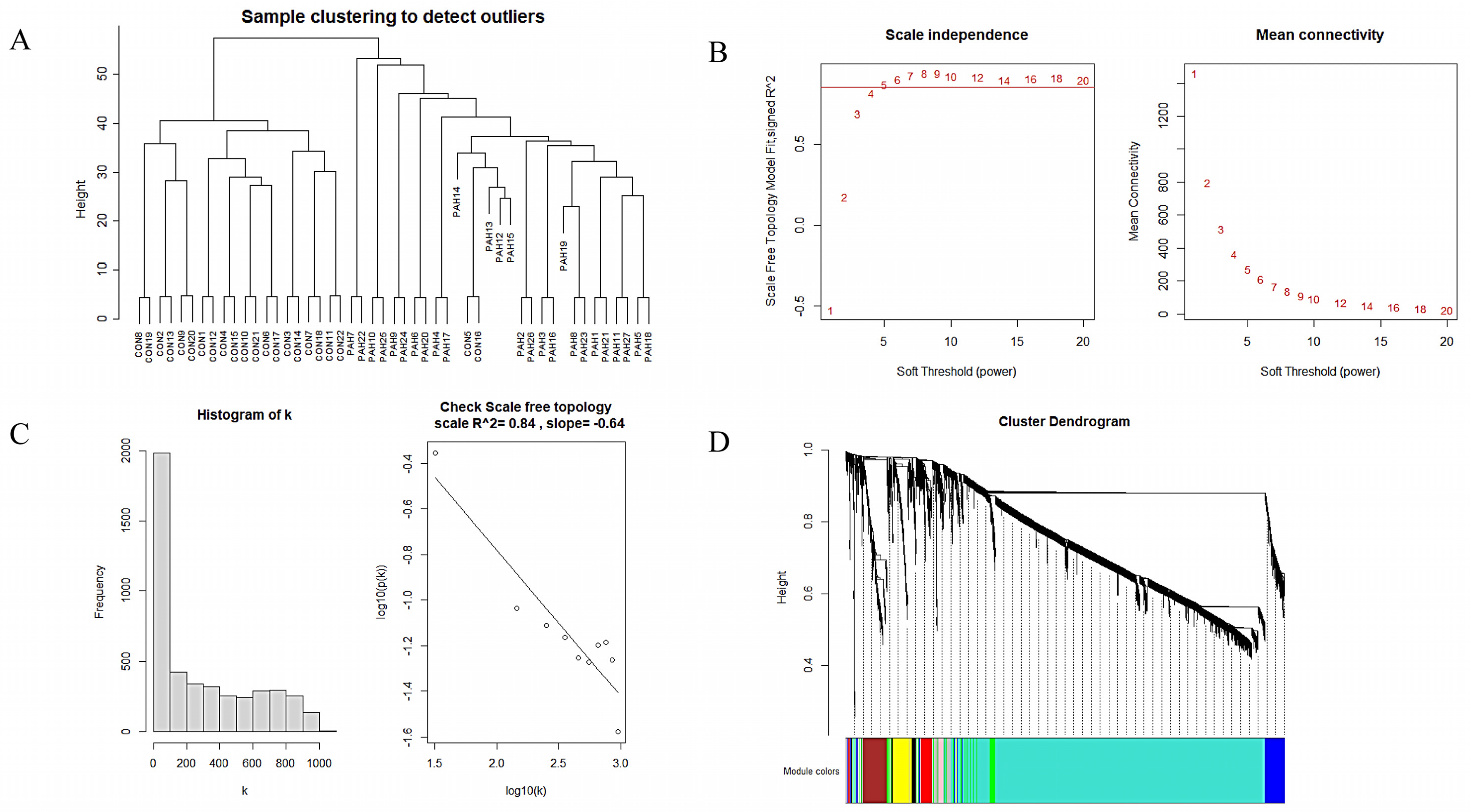 Genes 12 01339 g004