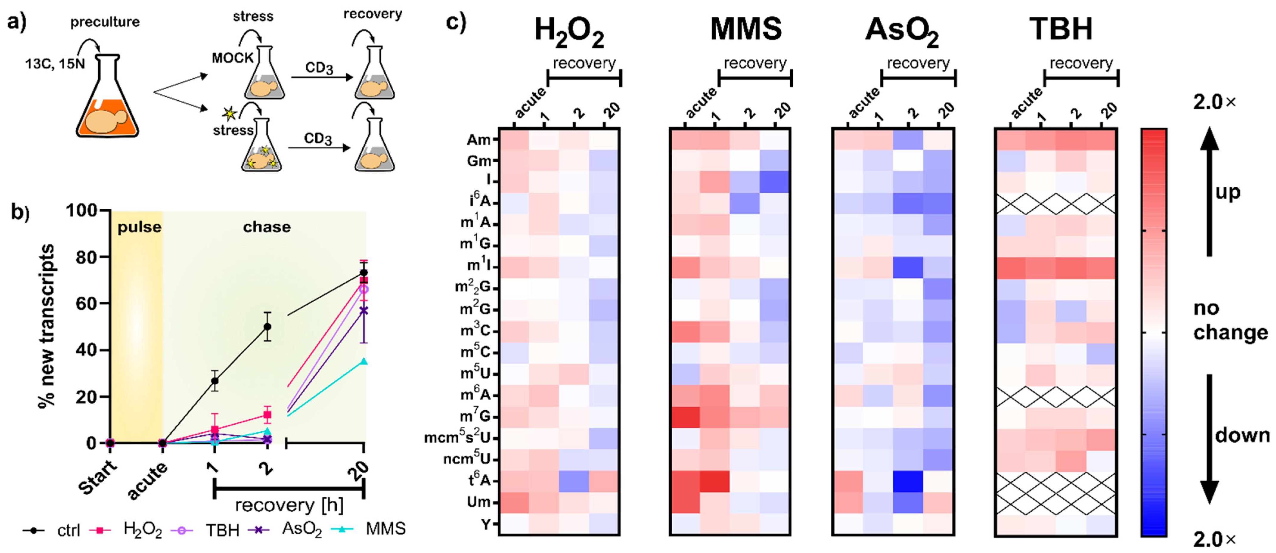 Genes 12 01344 g003 550