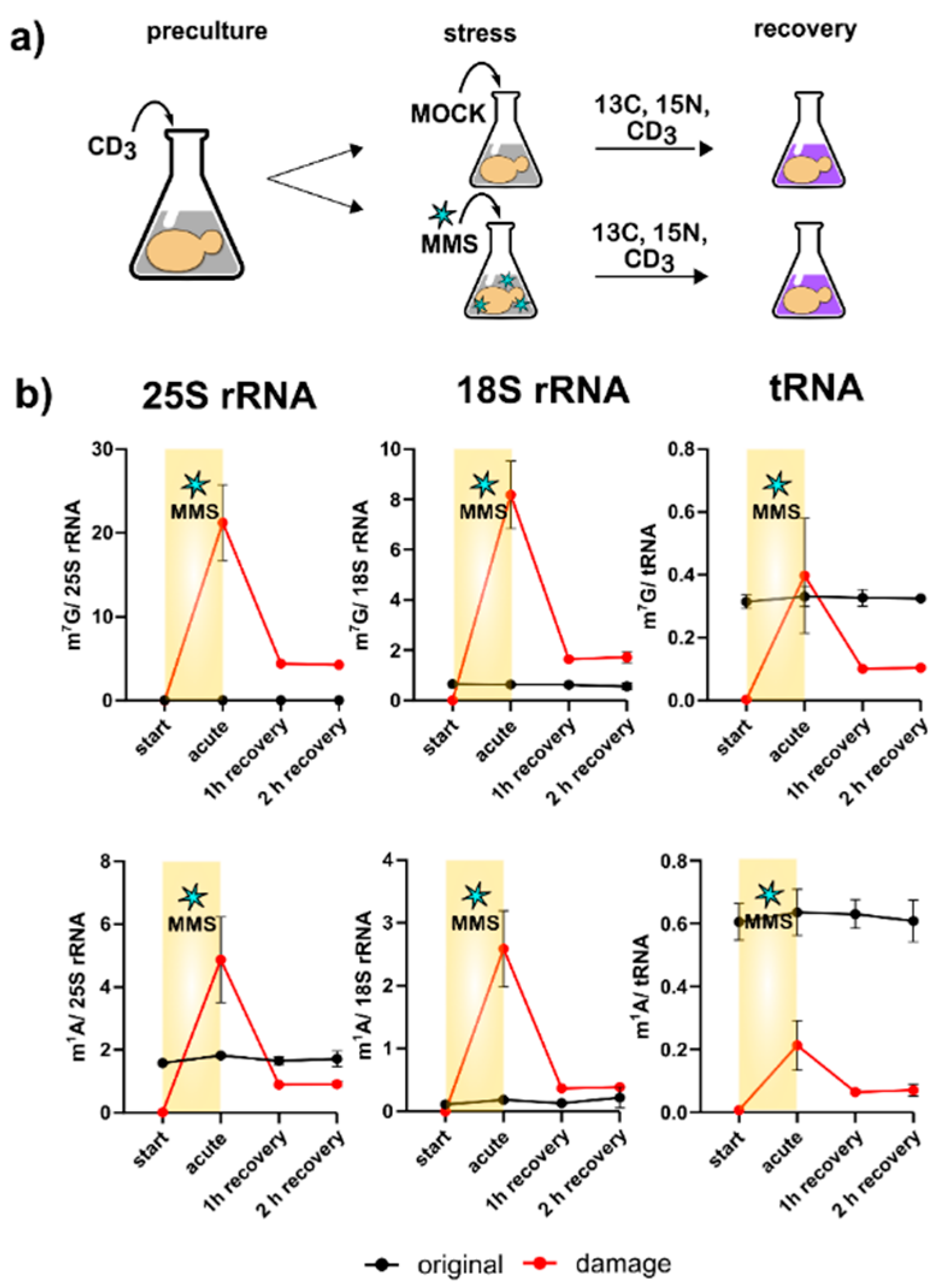 Genes 12 01344 g004 550