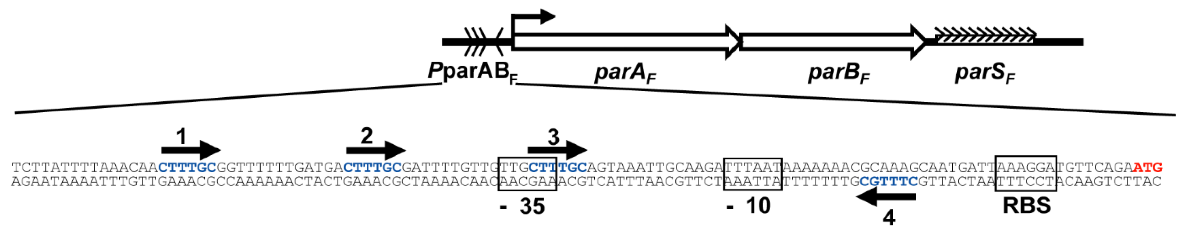 Genes 12 01345 g001
