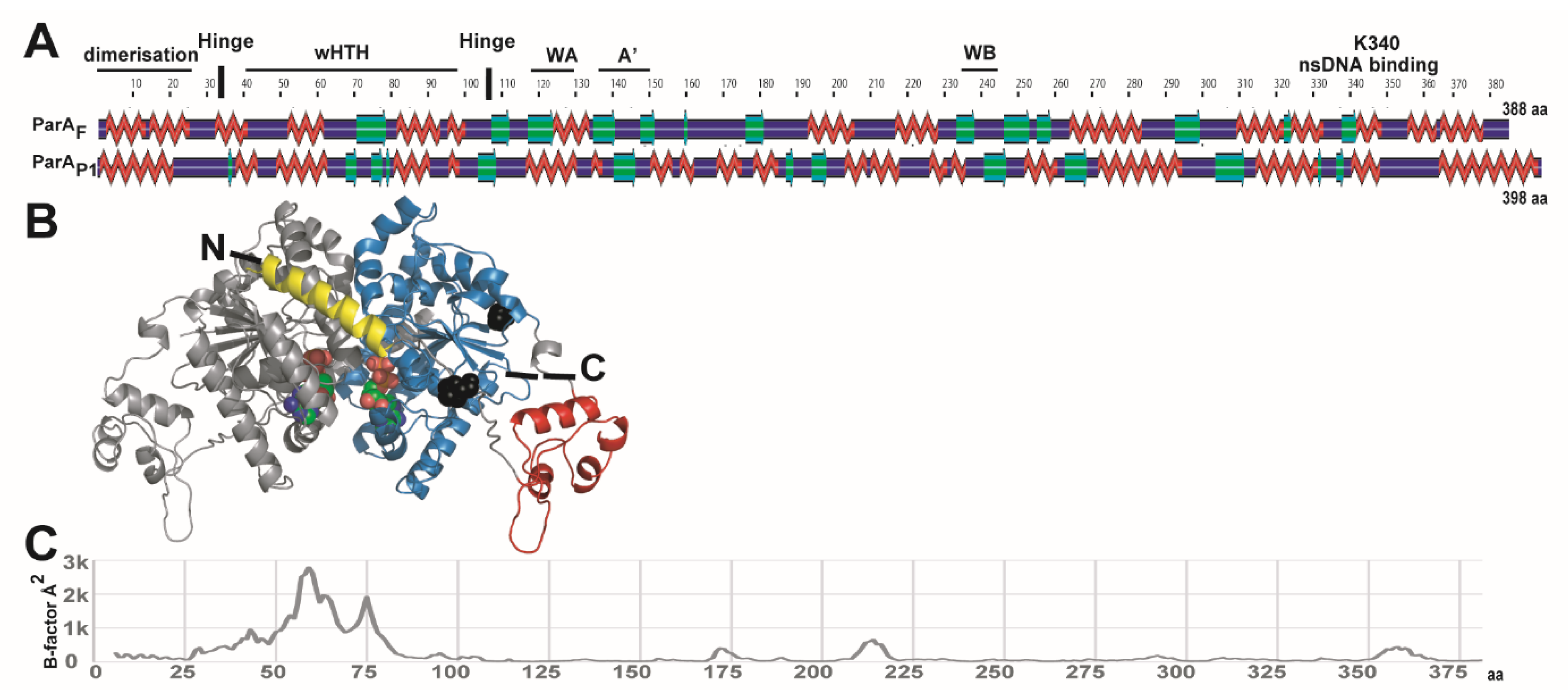 Genes 12 01345 g004