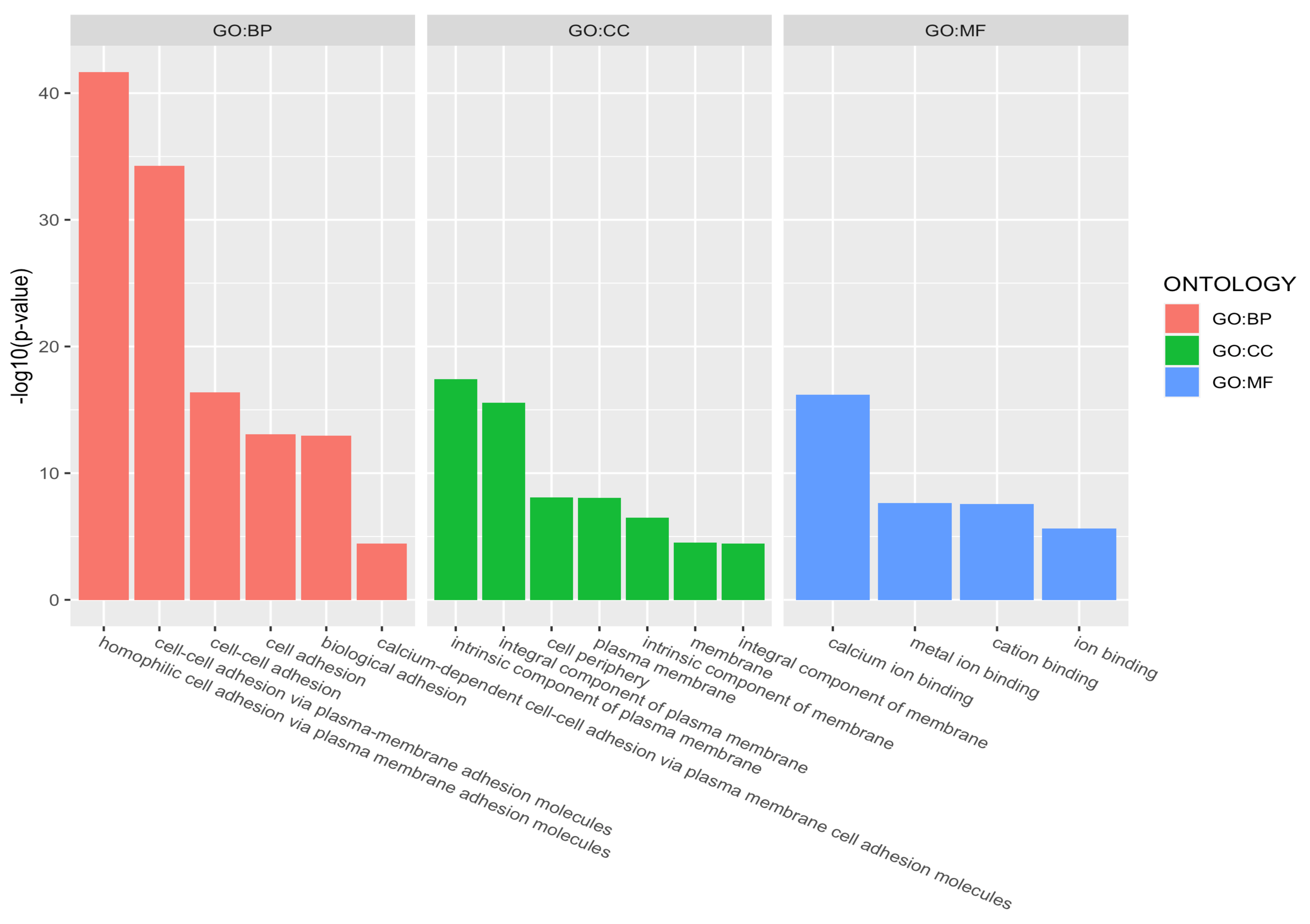 Genes 12 01349 g007 Genes 12 01349 g007