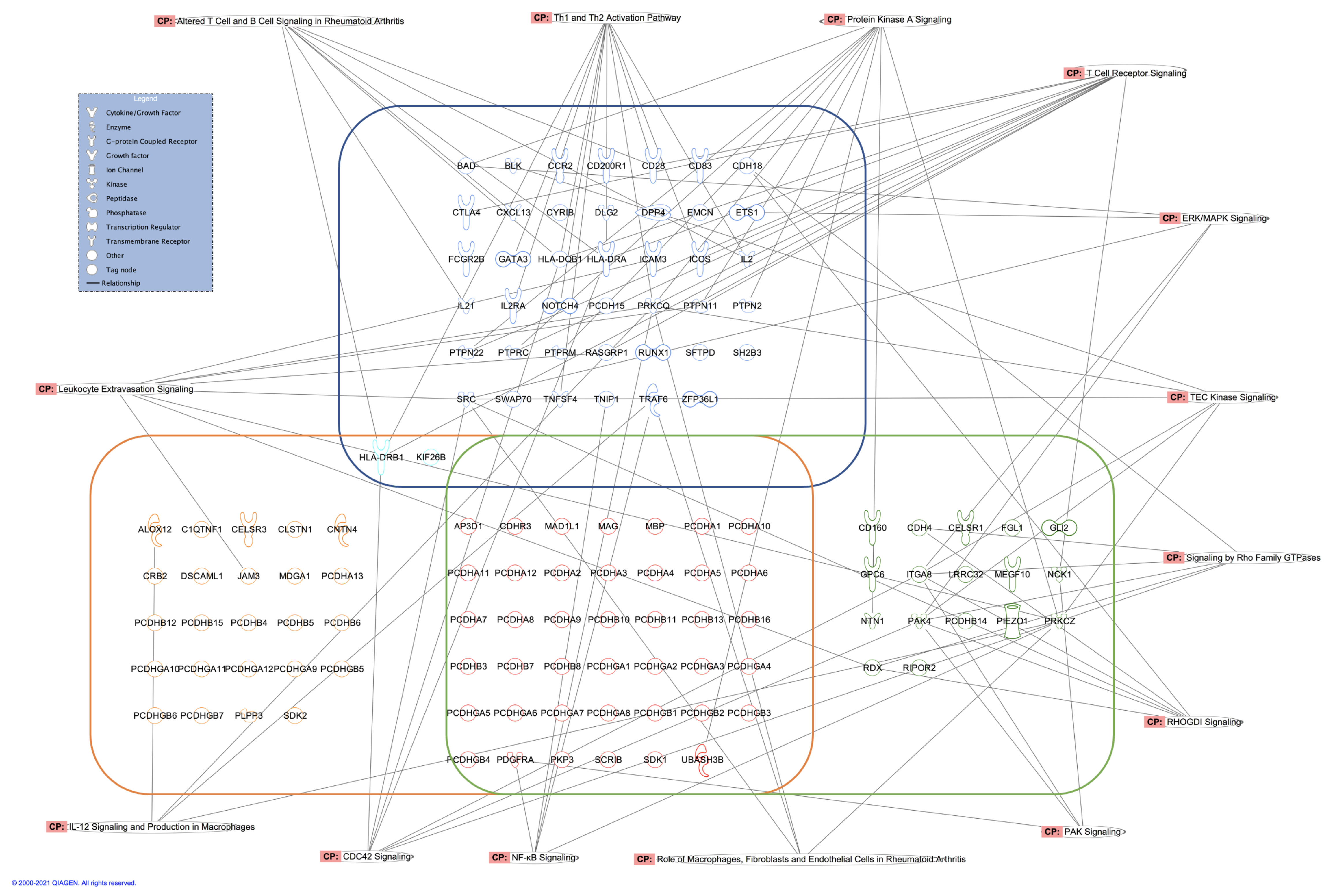 Genes 12 01349 g008 Genes 12 01349 g008