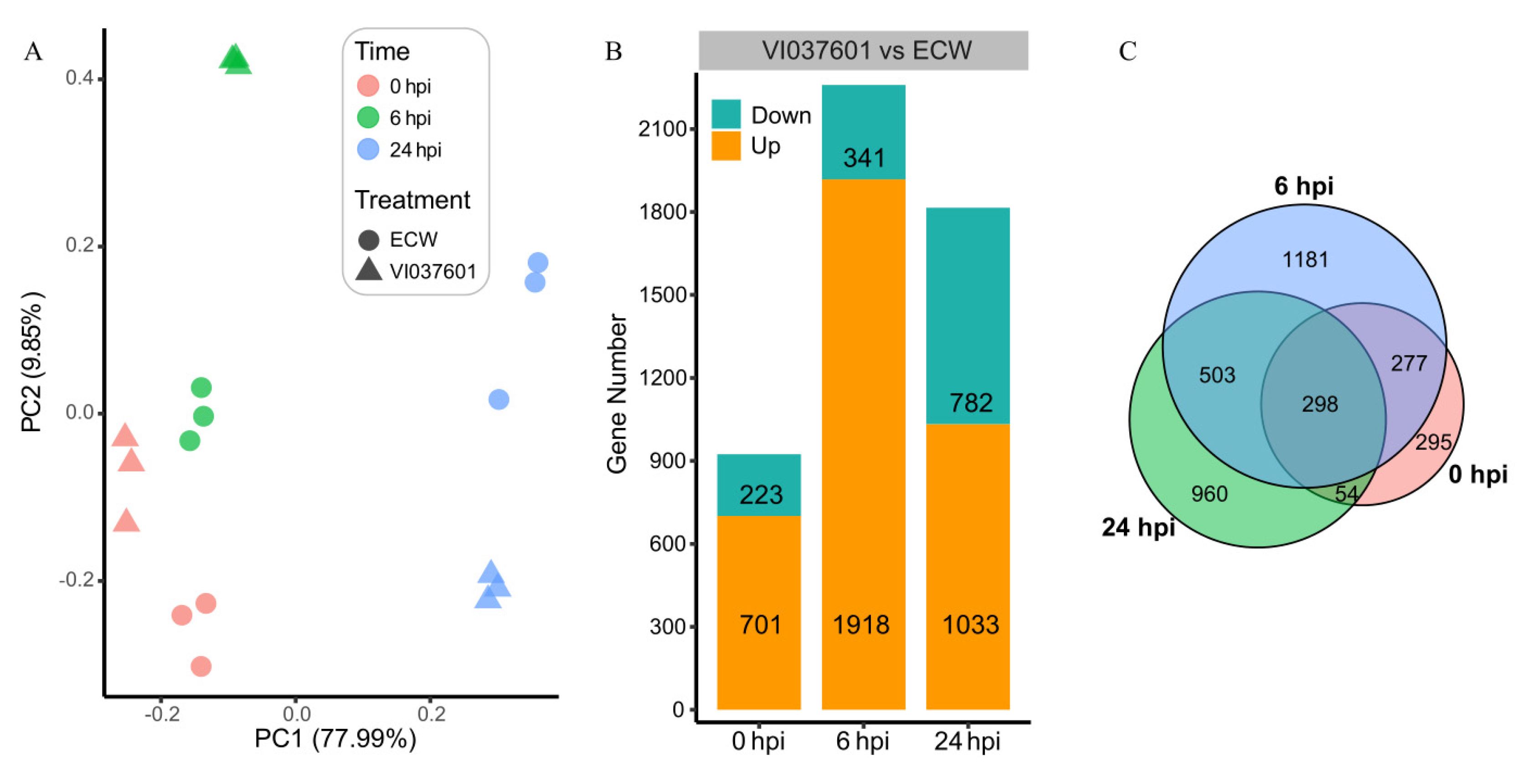 Genes 12 01351 g001 Genes 12 01351 g001