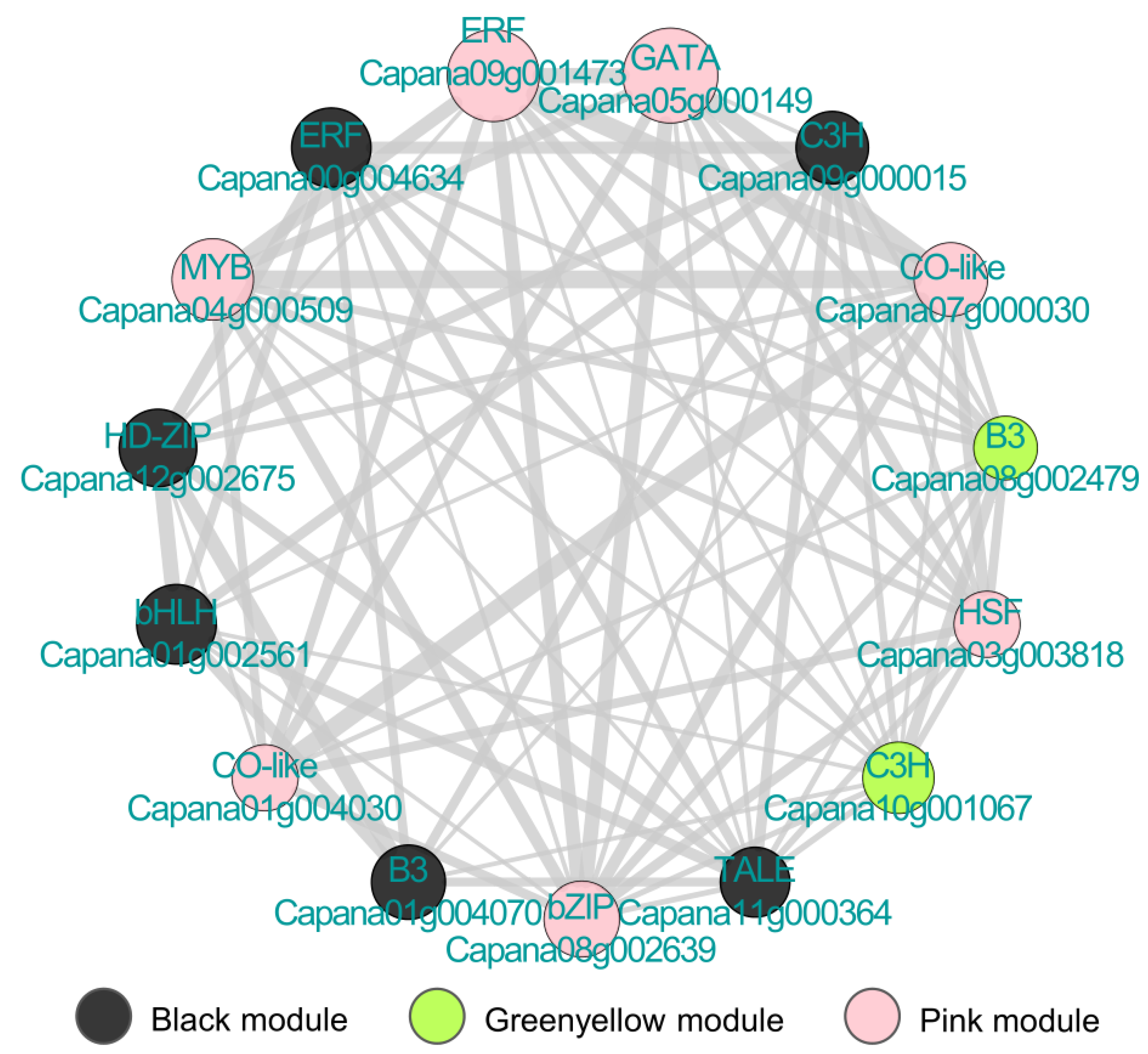 Genes 12 01351 g004 Genes 12 01351 g004