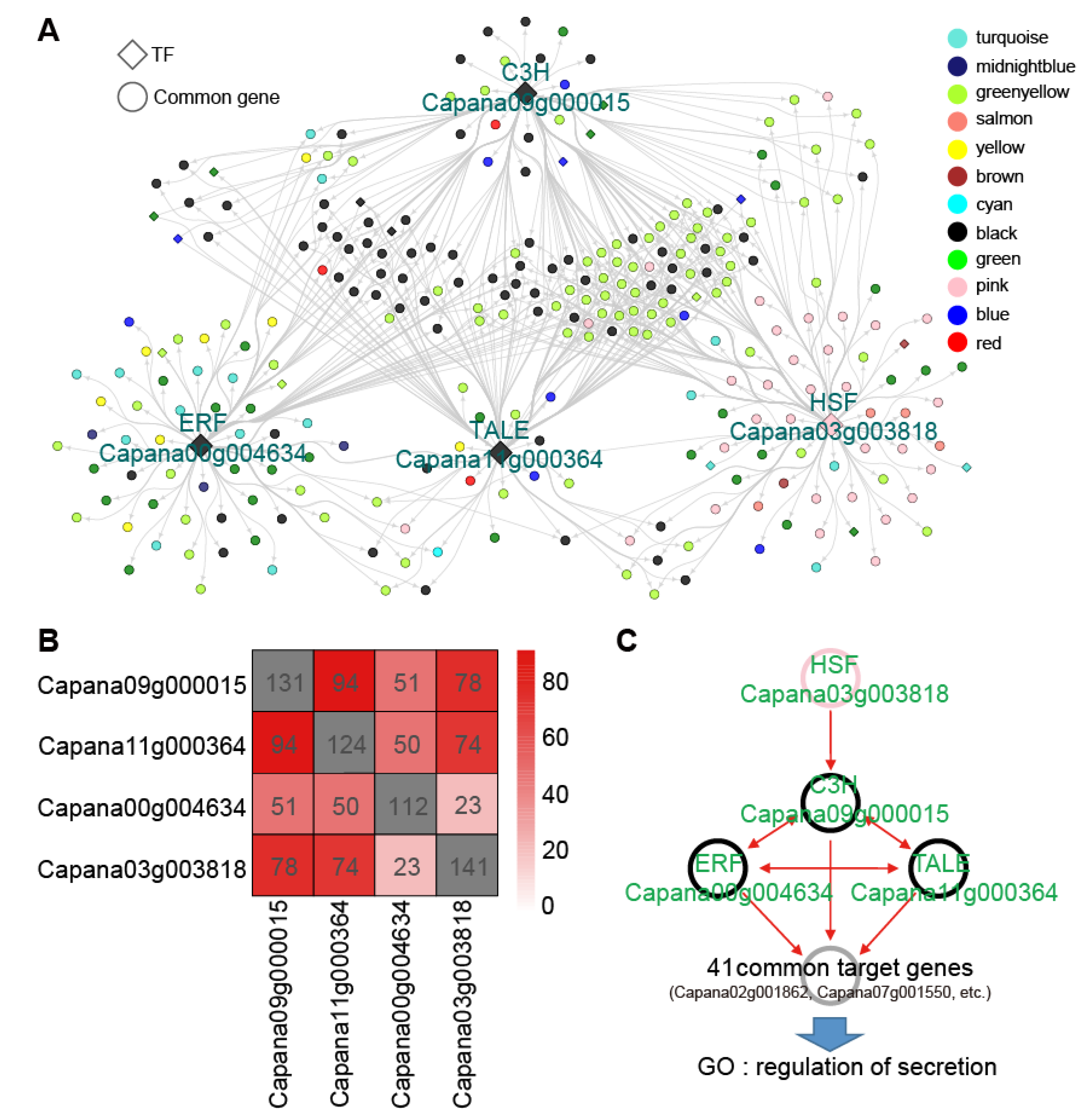 Genes 12 01351 g005 Genes 12 01351 g005