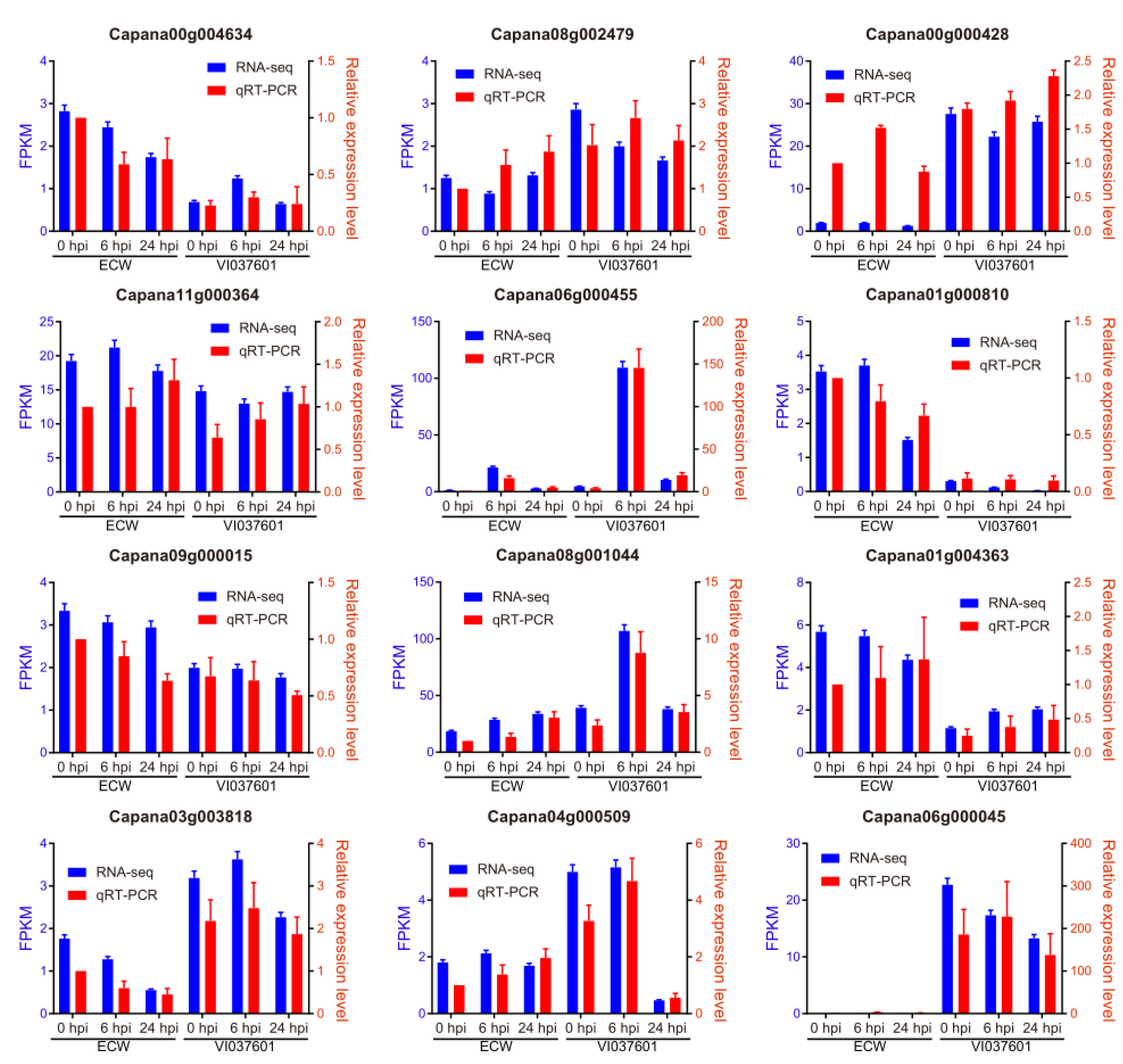 Genes 12 01351 g006 Genes 12 01351 g006