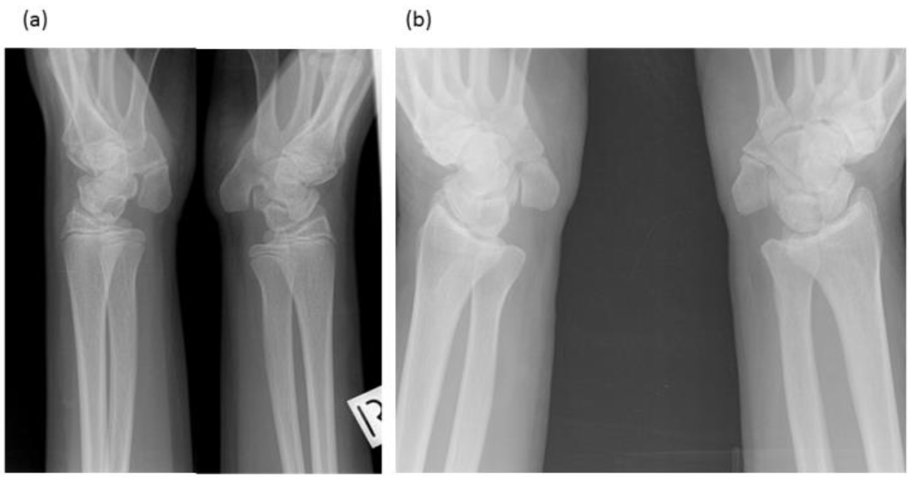 Genes 12 01354 g003 Genes 12 01354 g003