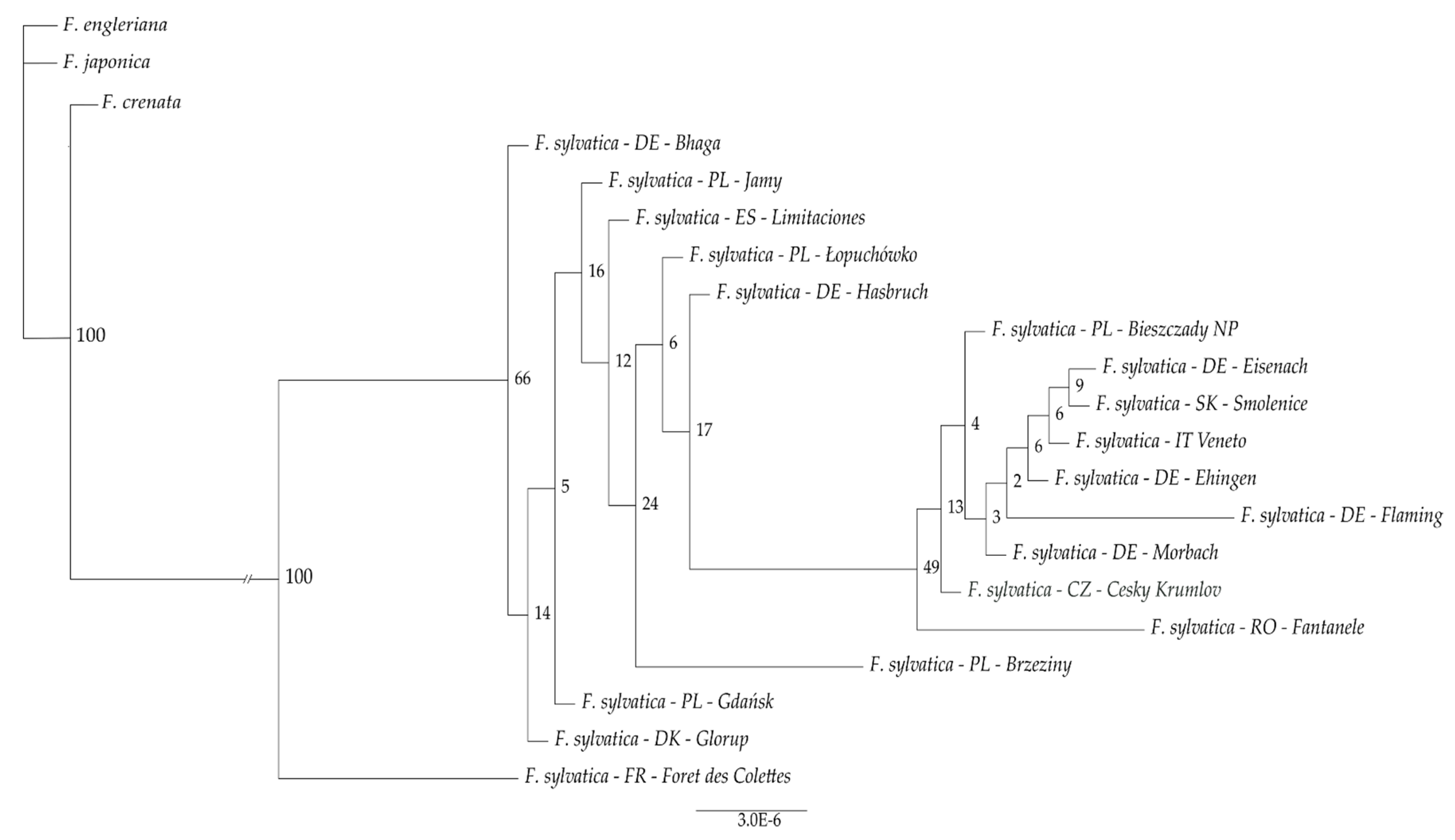 Genes 12 01357 g002 Genes 12 01357 g002