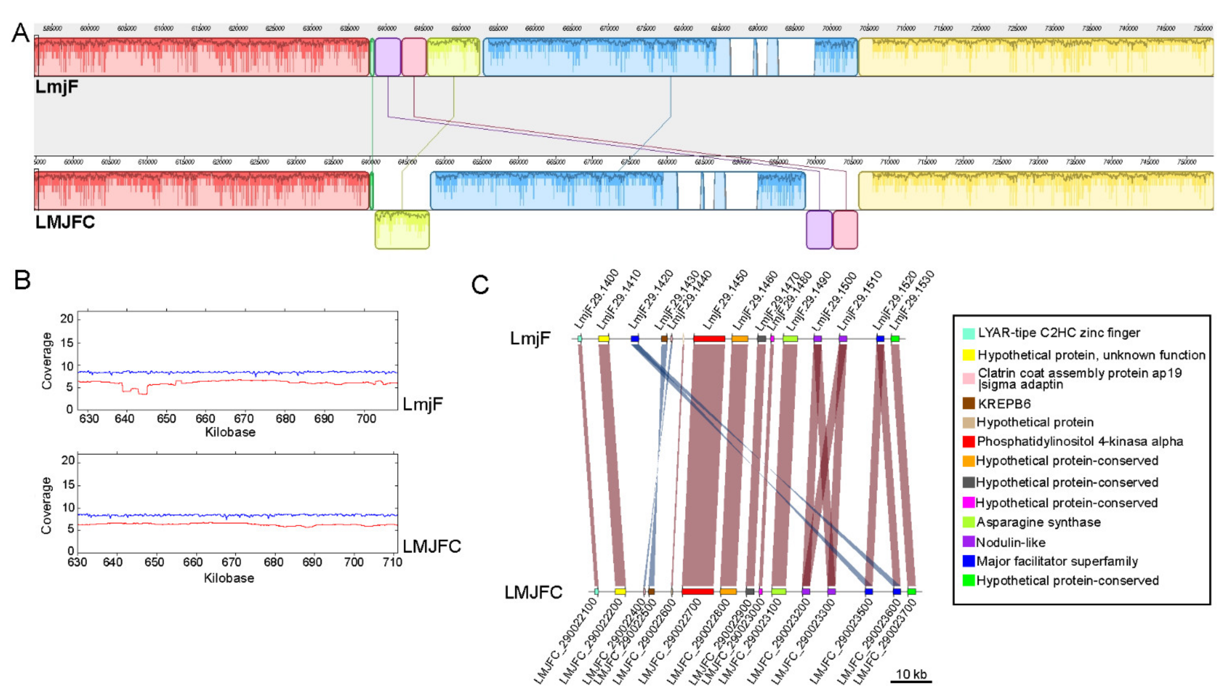 Genes 12 01359 g005