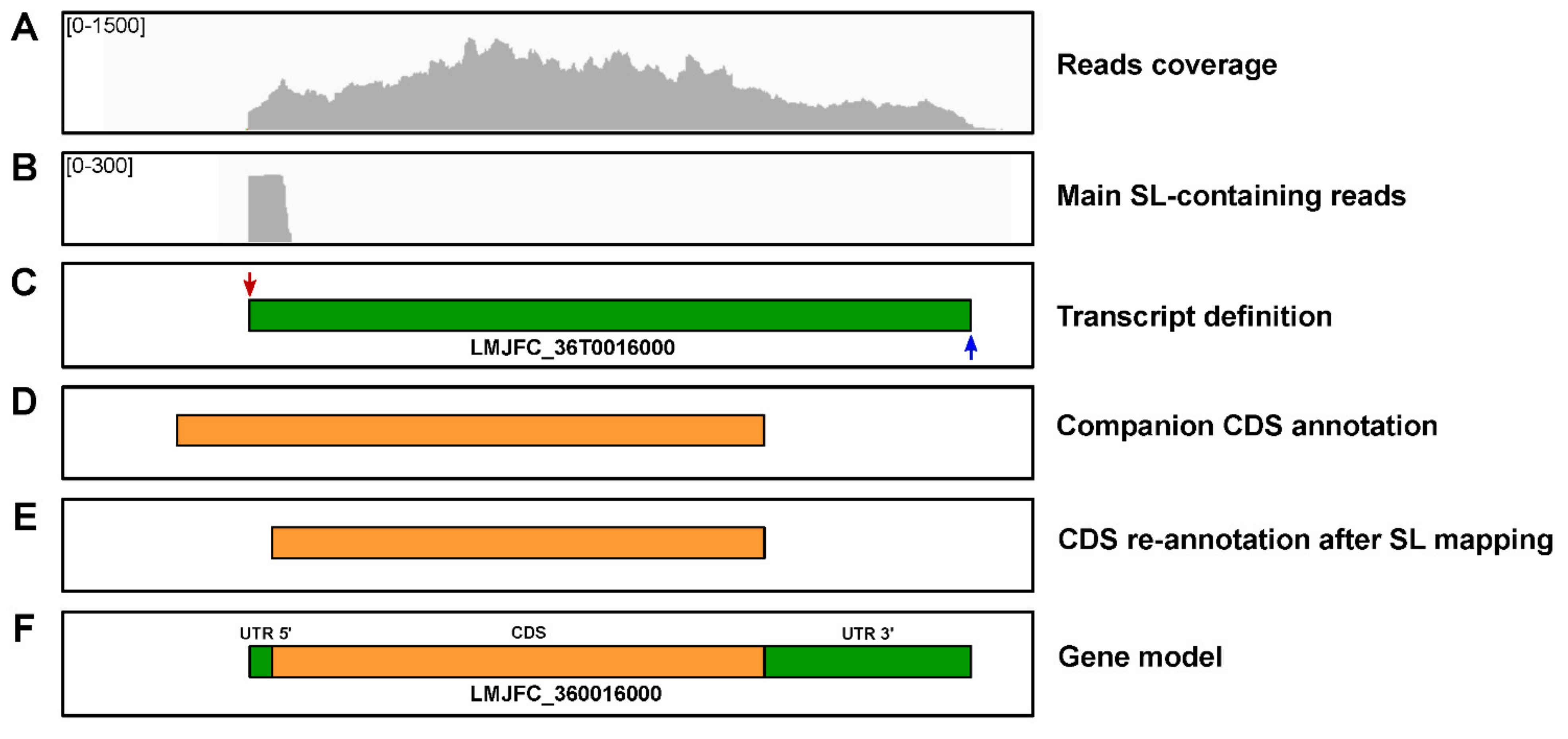 Genes 12 01359 g009