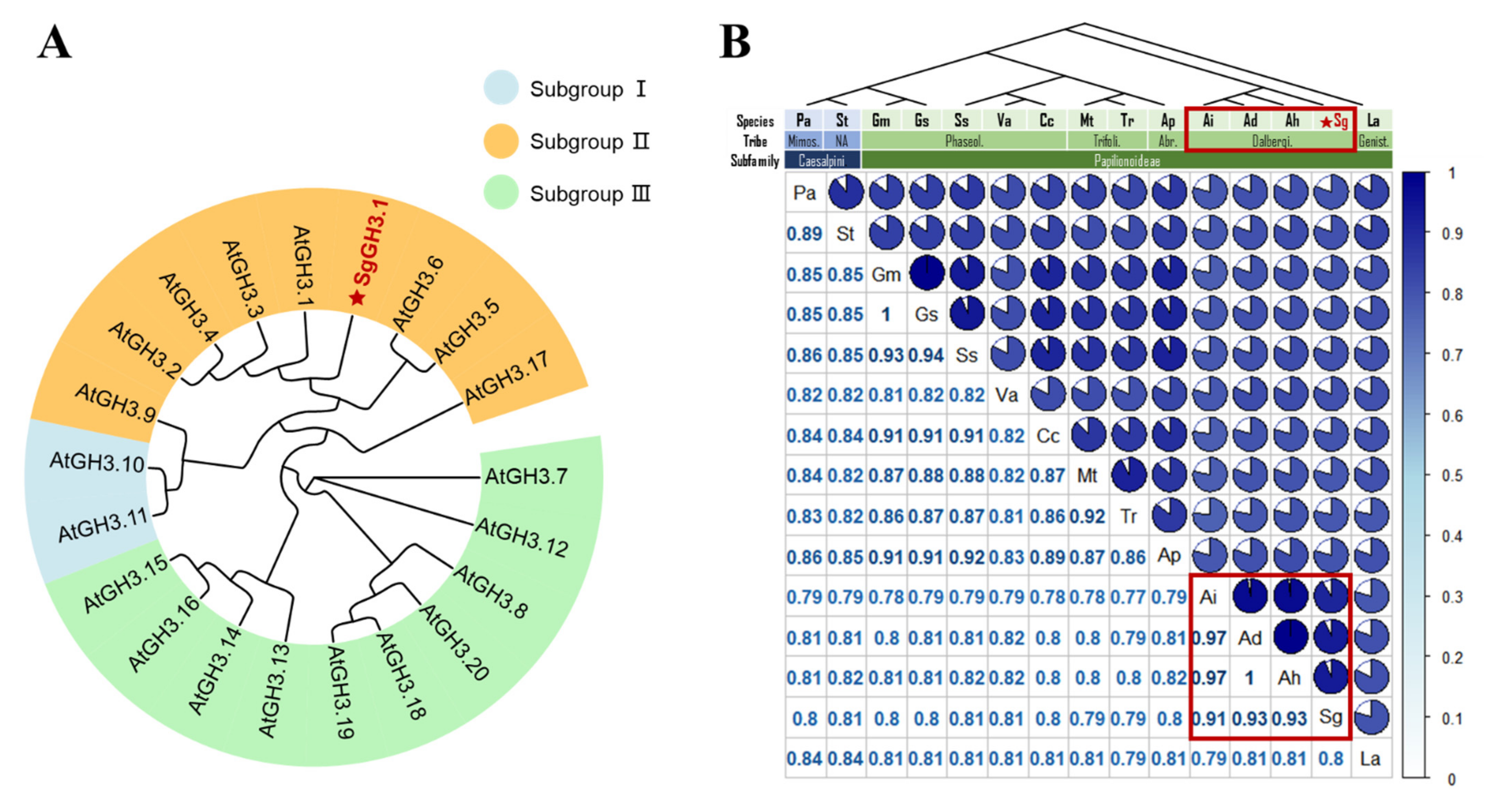 Genes 12 01367 g001 550