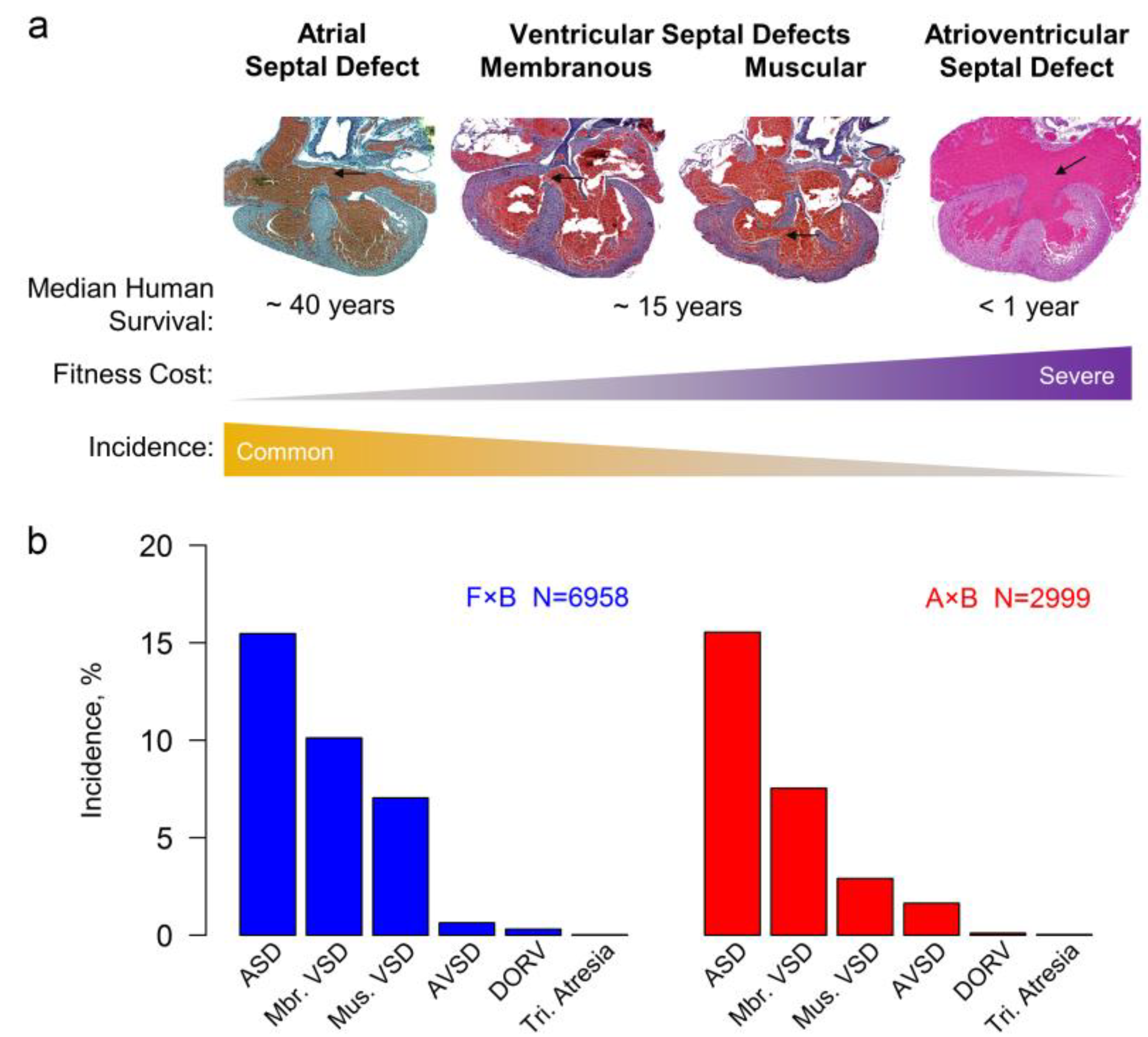 Genes 12 01368 g001 550