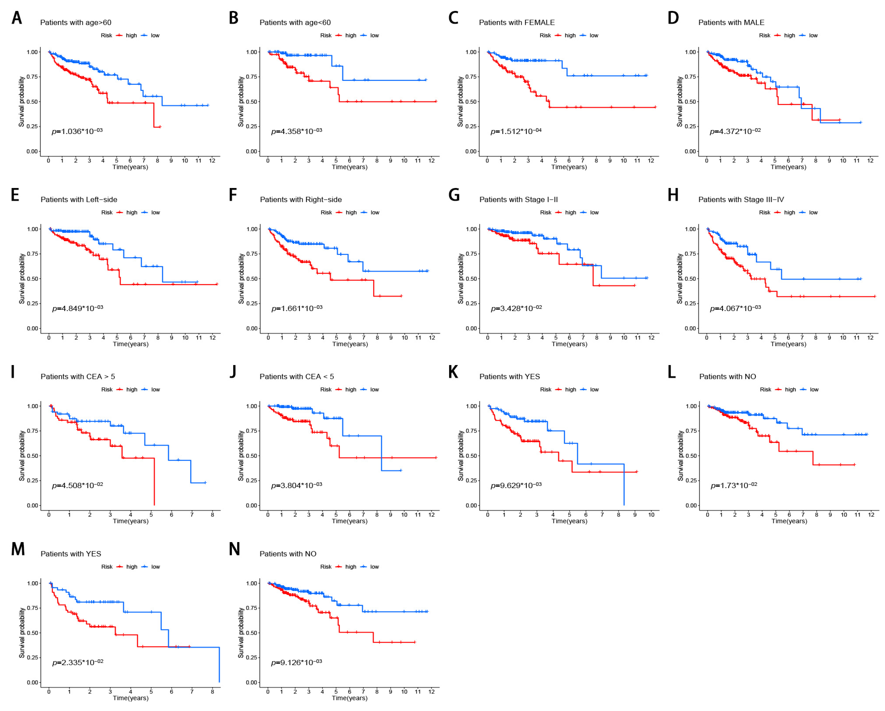 Genes 12 01375 g006 550