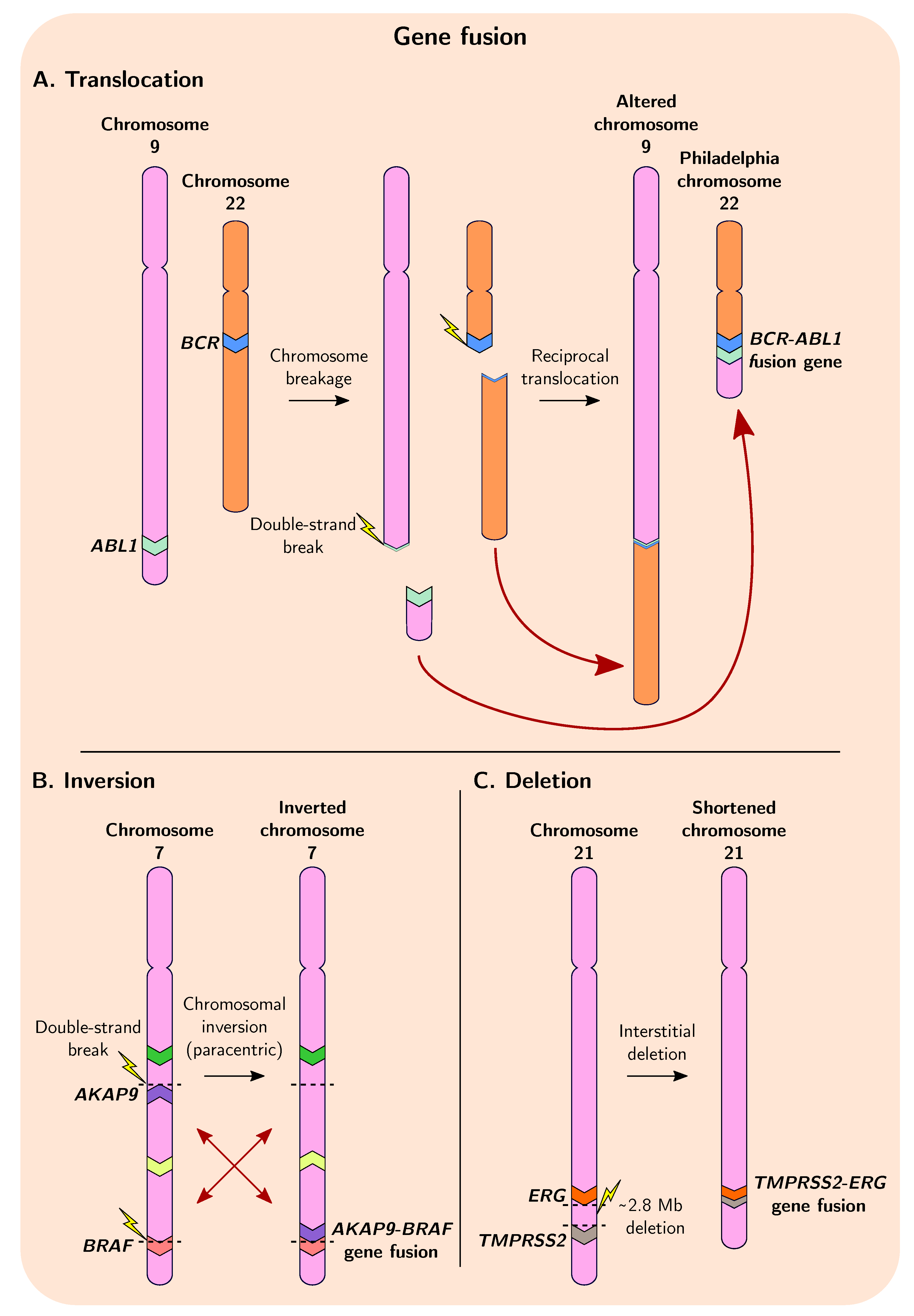 Genes 12 01376 g002