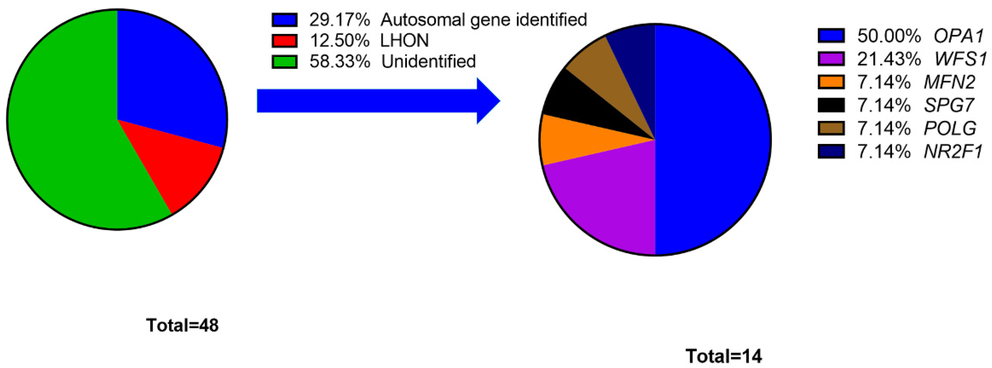 Genes 12 01378 g001
