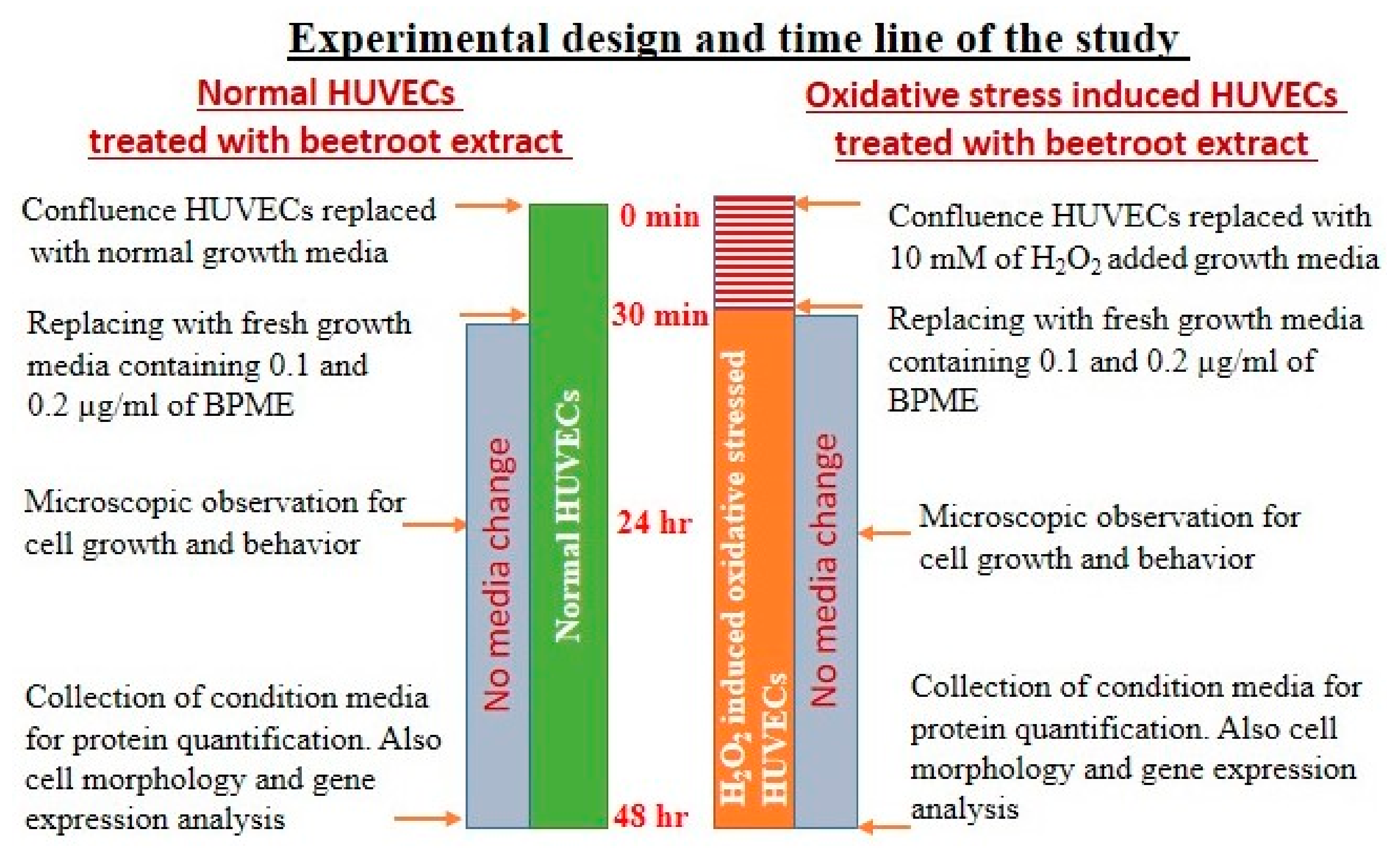Genes 12 01380 g001 Genes 12 01380 g001