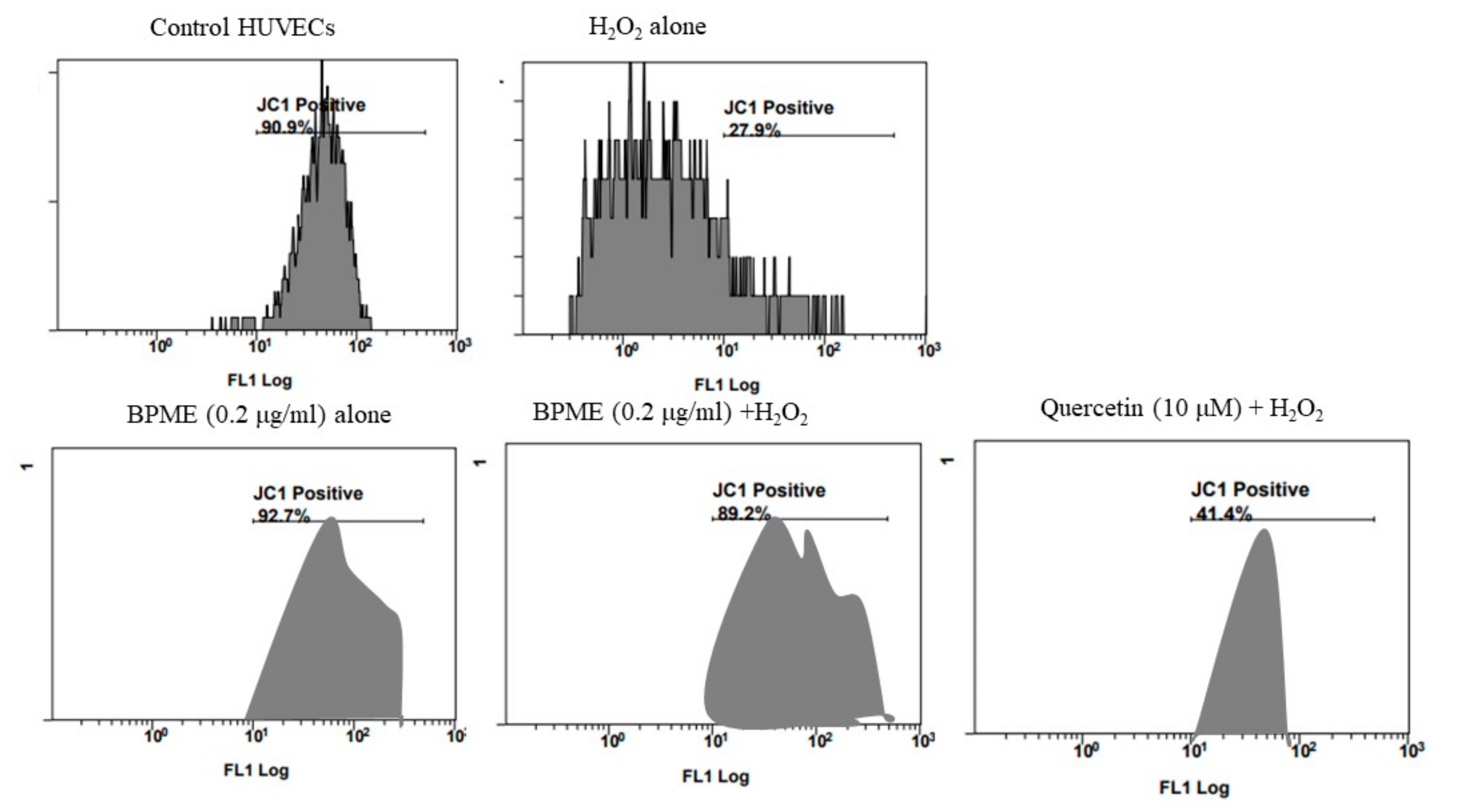Genes 12 01380 g006 Genes 12 01380 g006