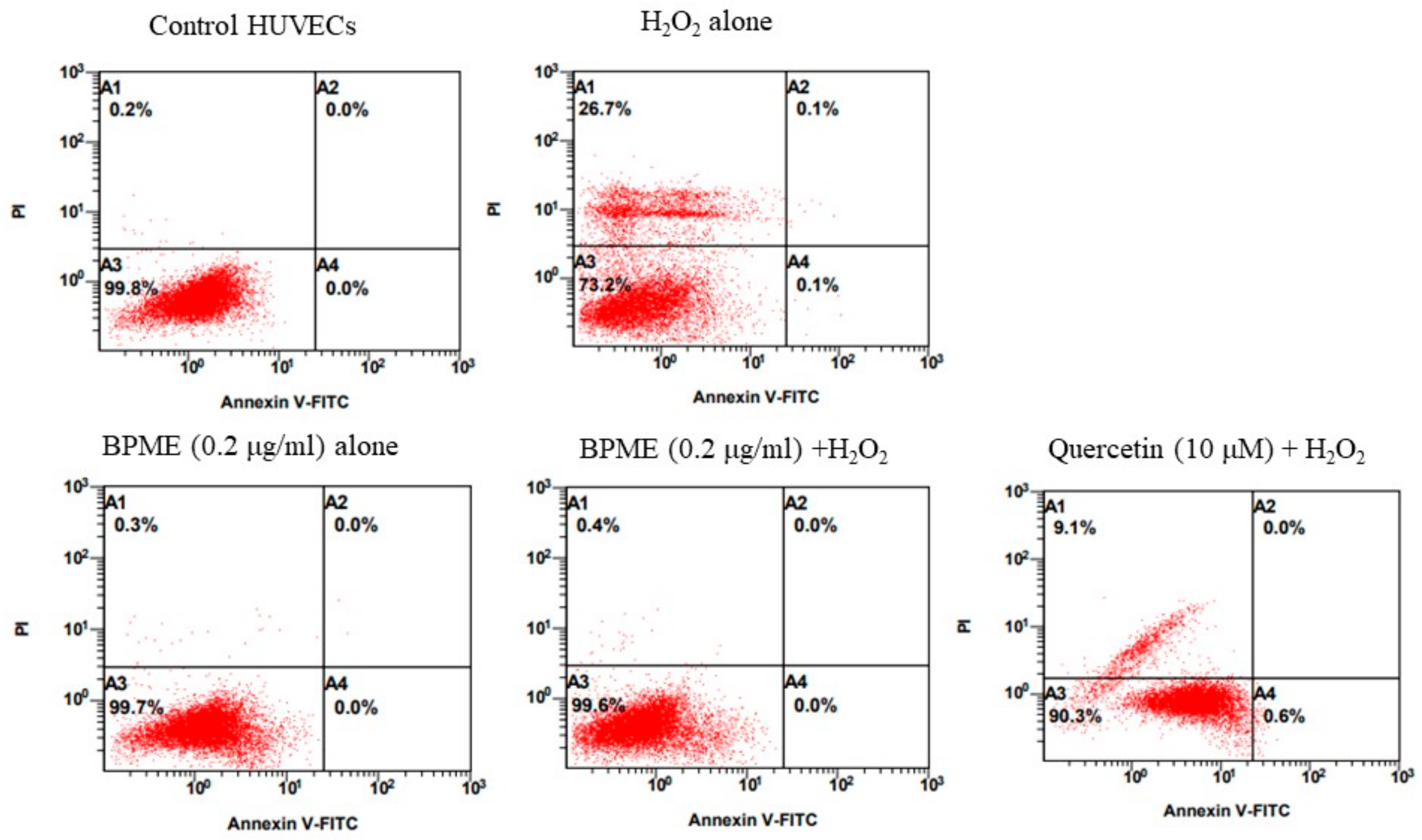 Genes 12 01380 g007 Genes 12 01380 g007