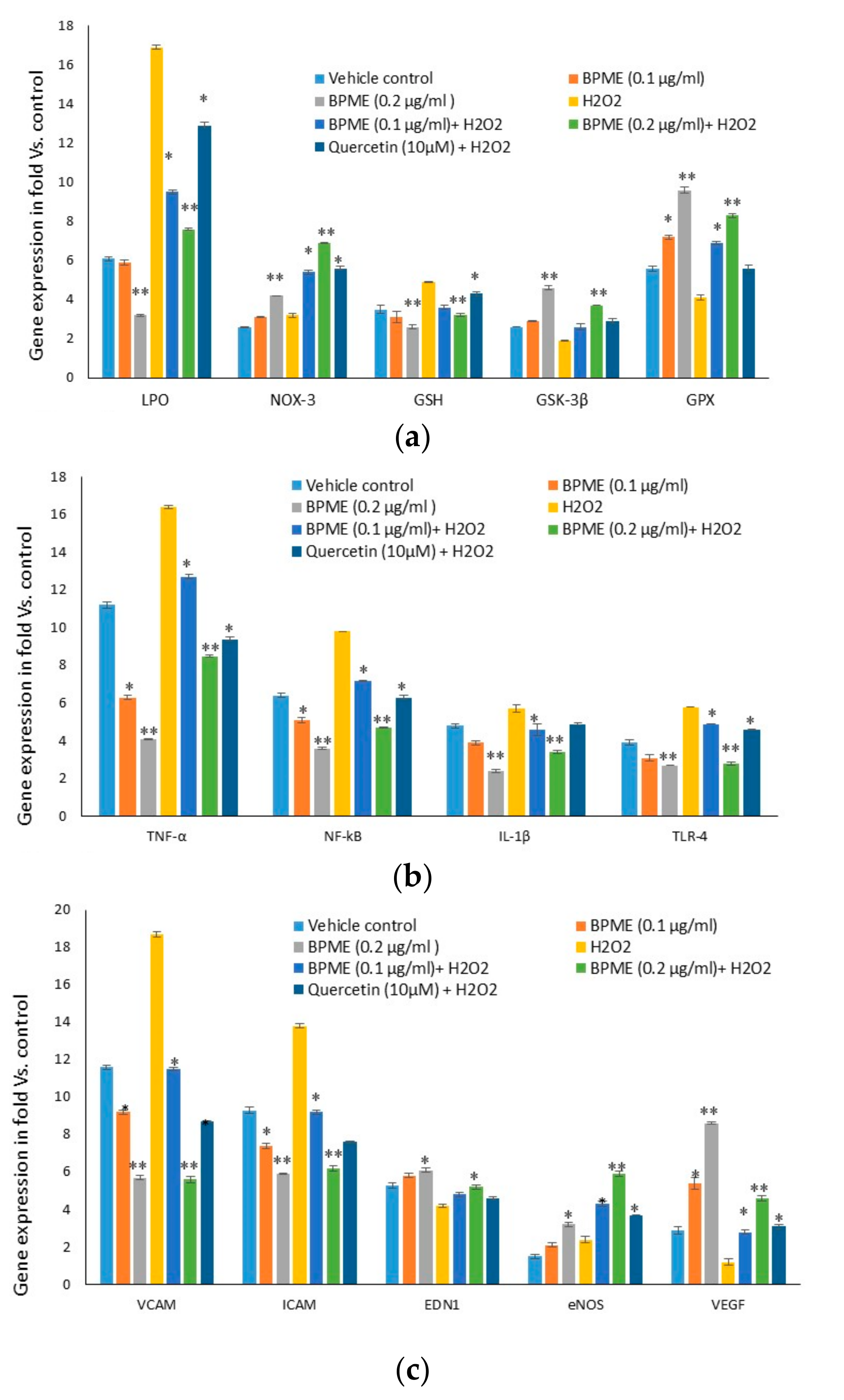 Genes 12 01380 g008 Genes 12 01380 g008