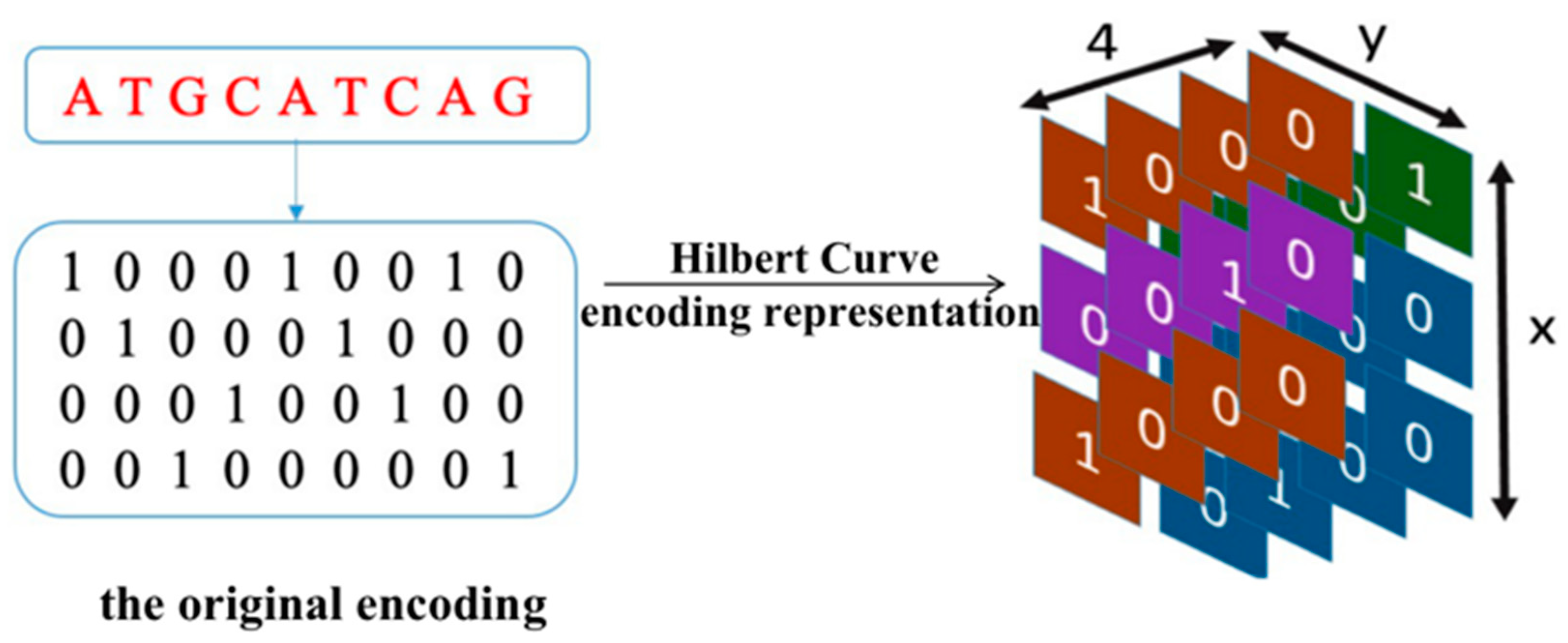 Genes 12 01385 g002 550