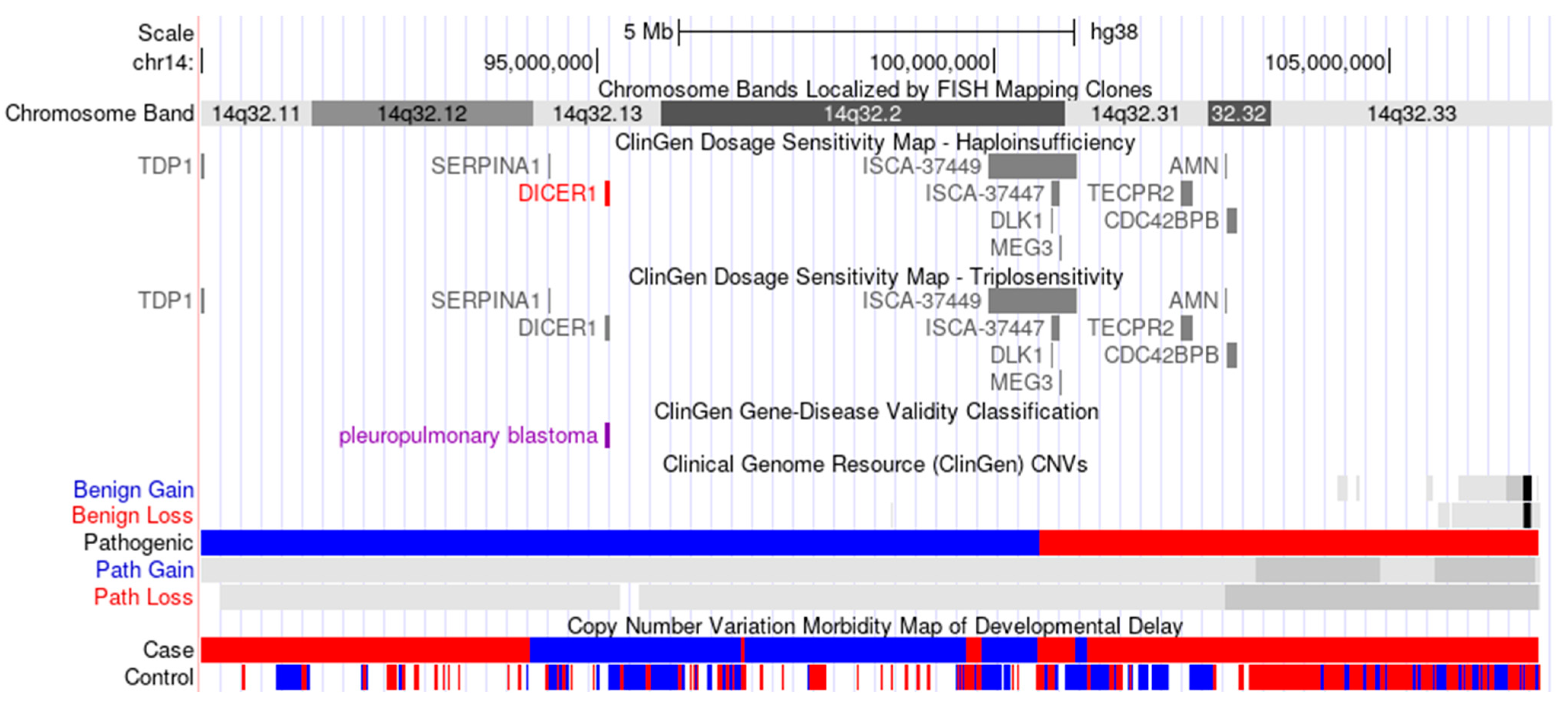 Genes 12 01388 g005 Genes 12 01388 g005