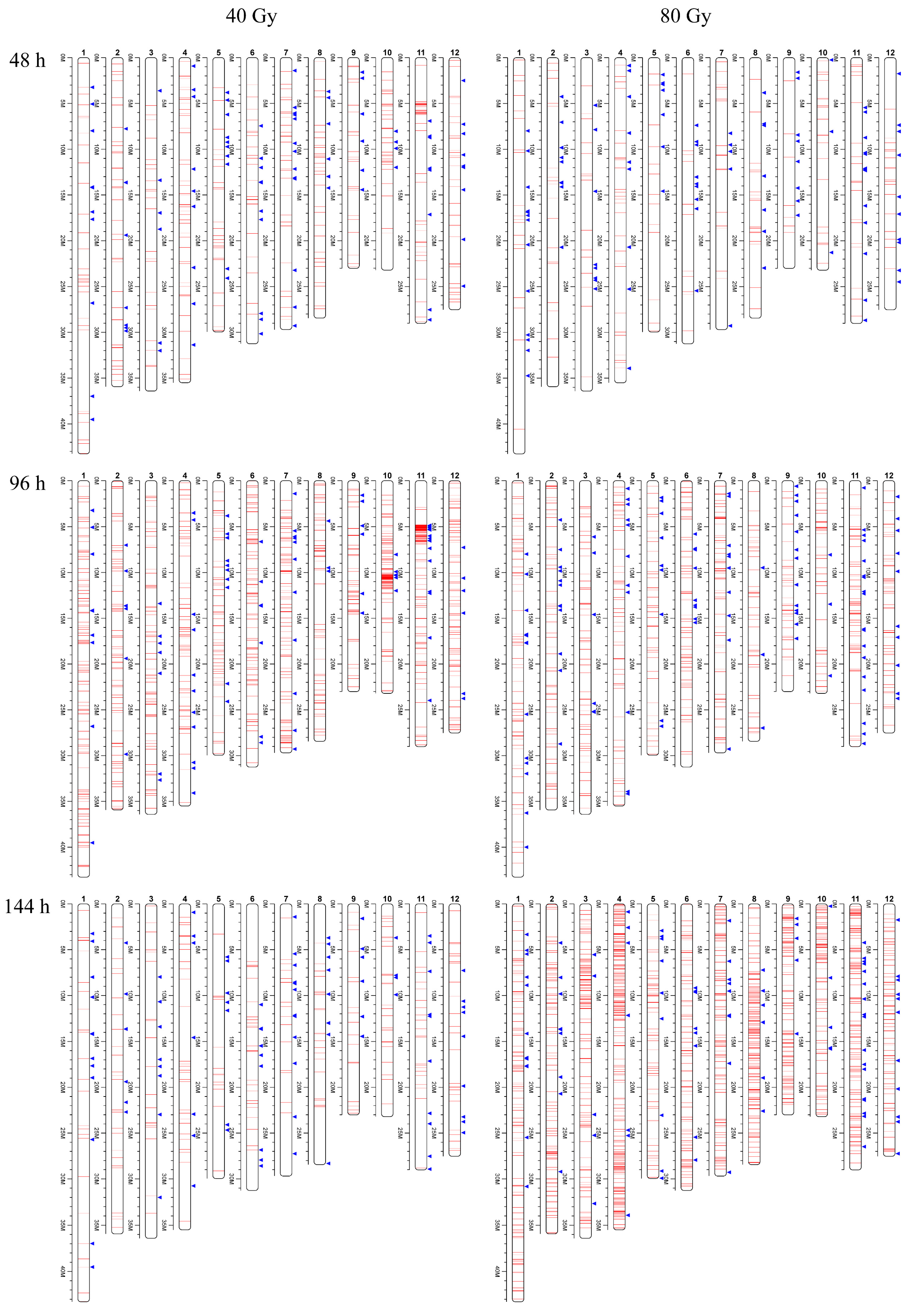Genes 12 01391 g001 550
