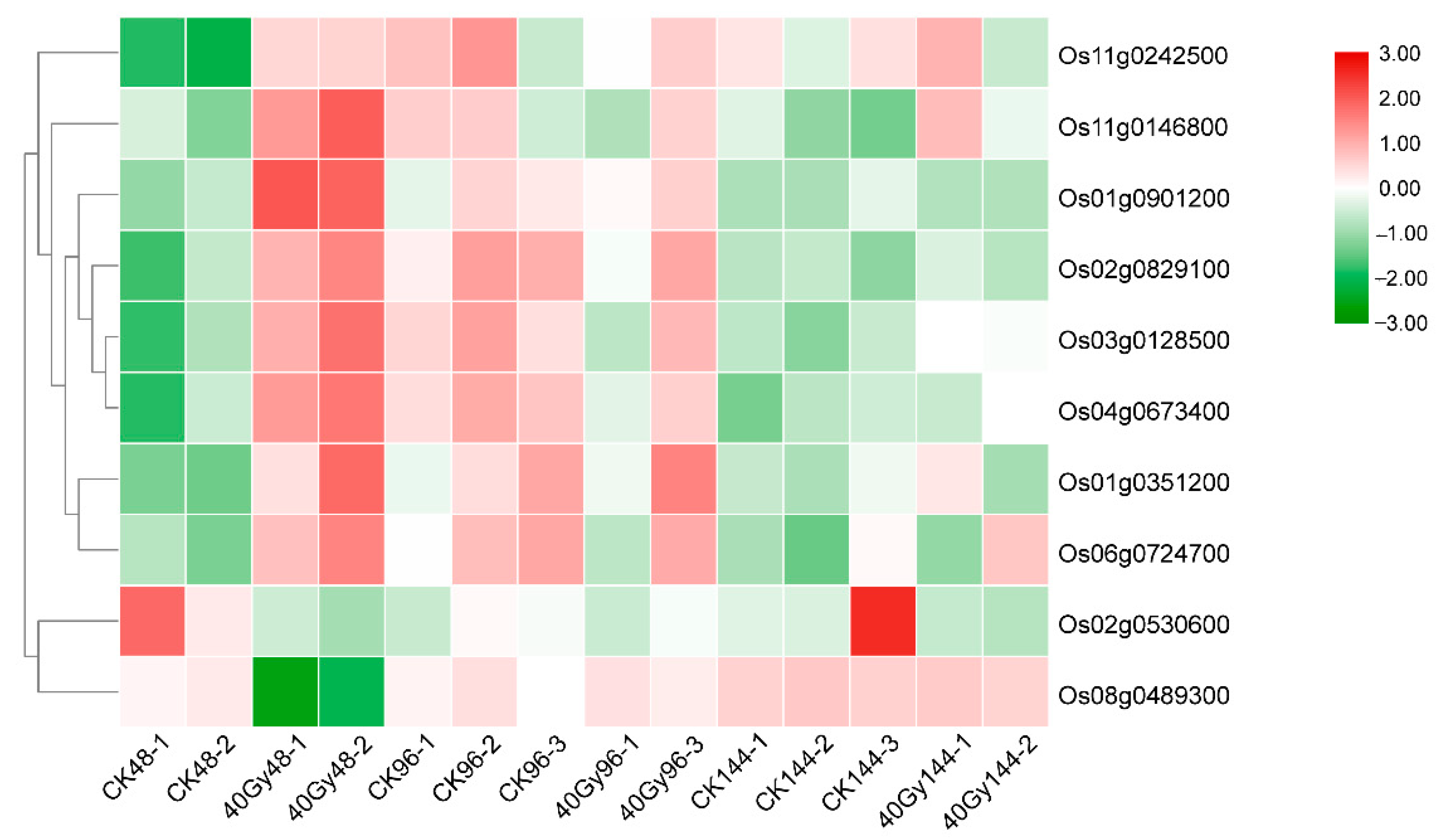 Genes 12 01391 g009 550