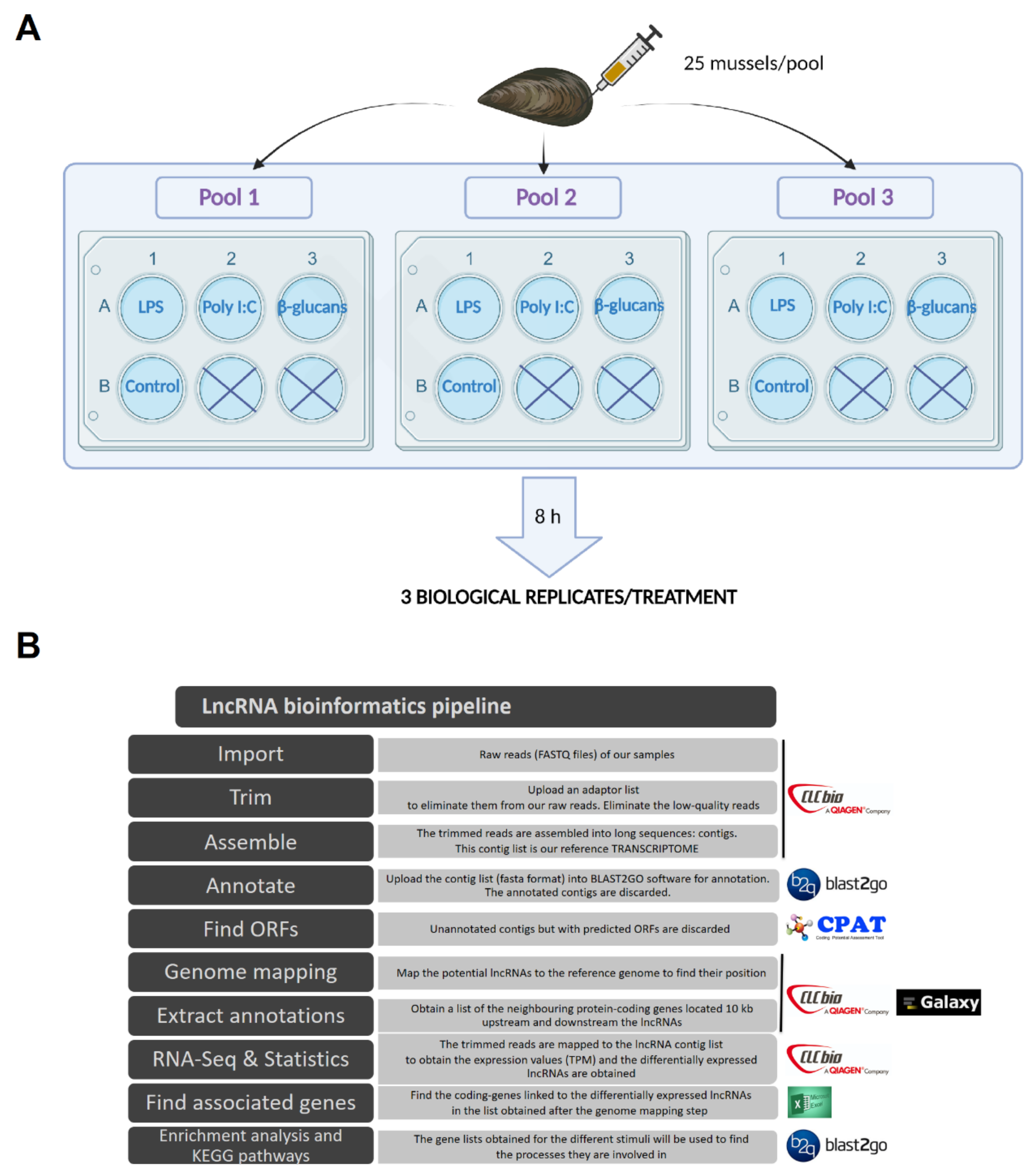 Genes 12 01393 g001