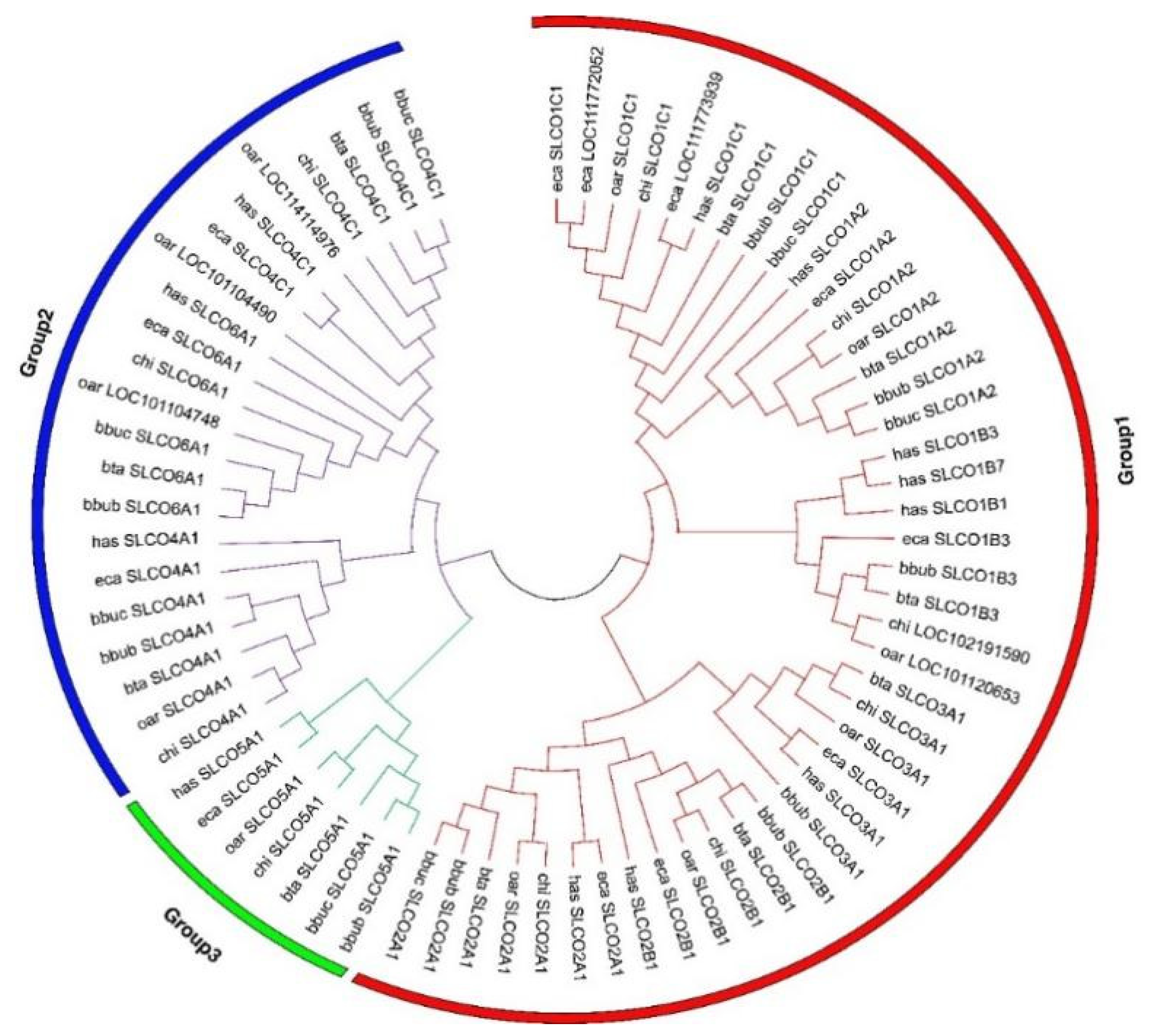 Genes 12 01394 g001 Genes 12 01394 g001