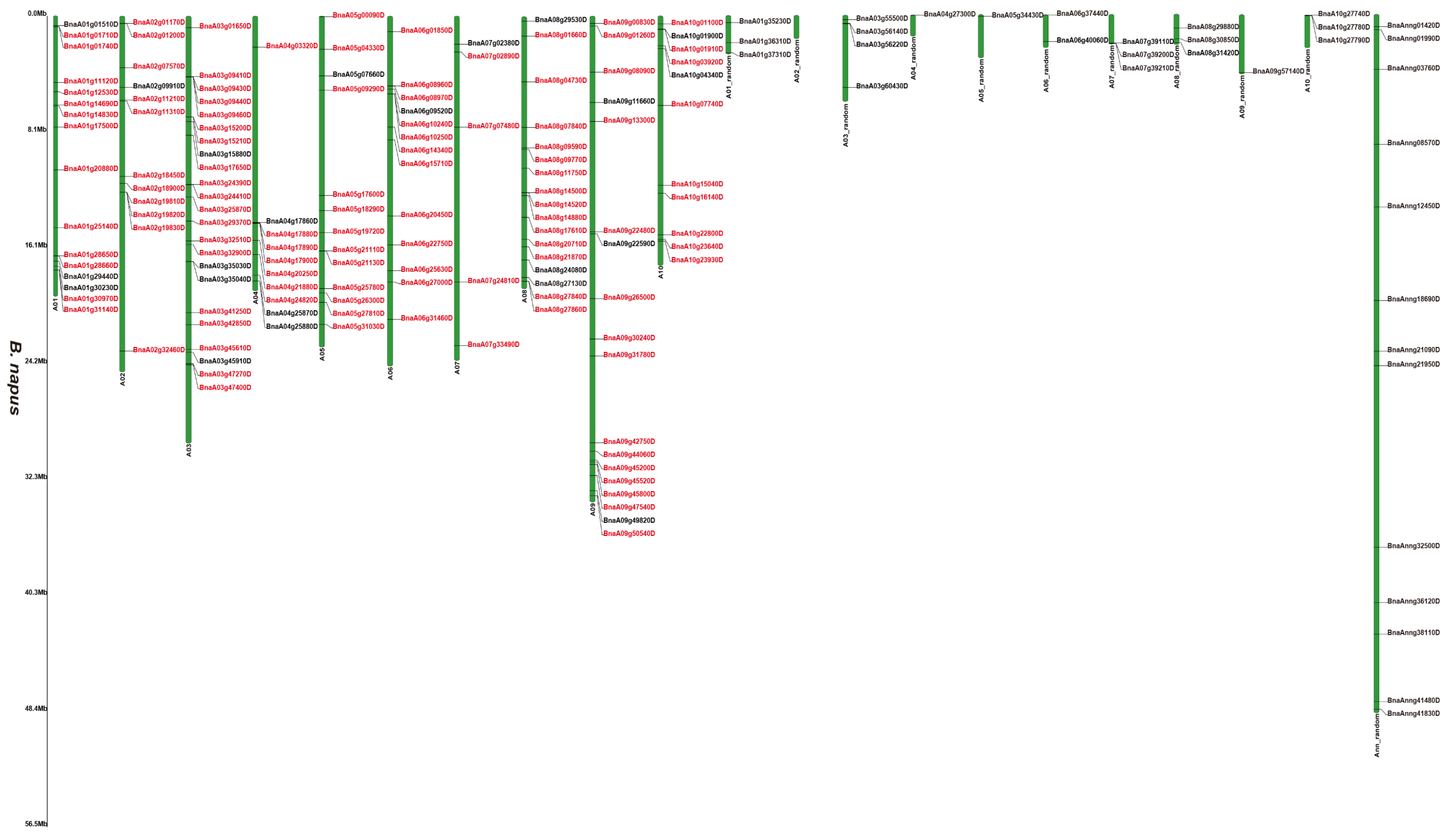 Genes 12 01399 g001a