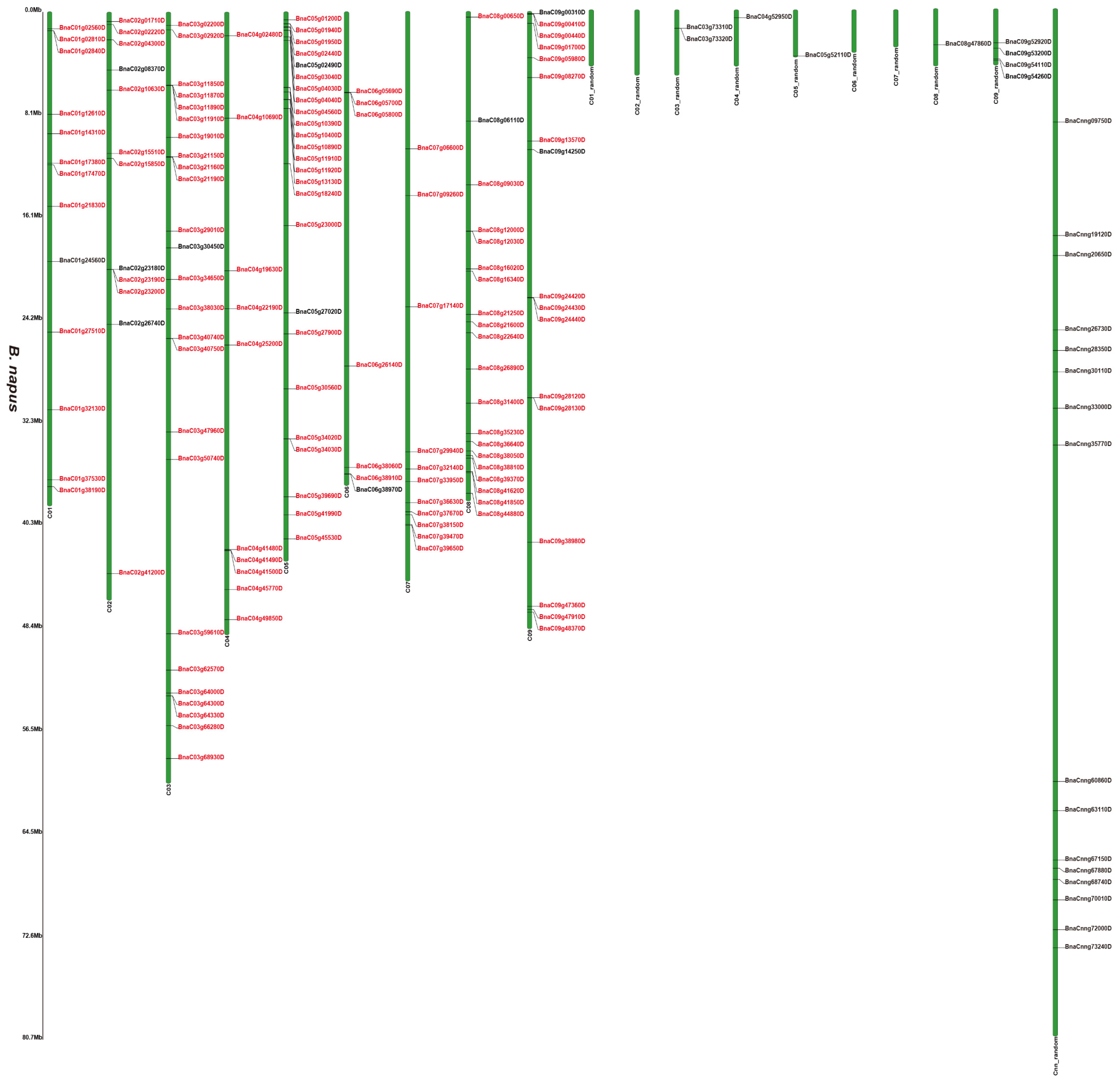 Genes 12 01399 g001b