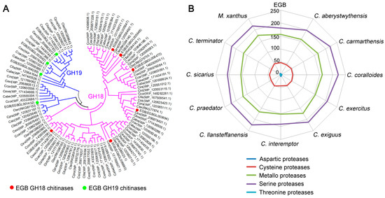 Whole-Genome Sequencing of Corallococcus sp. Strain EGB Reveals the ...