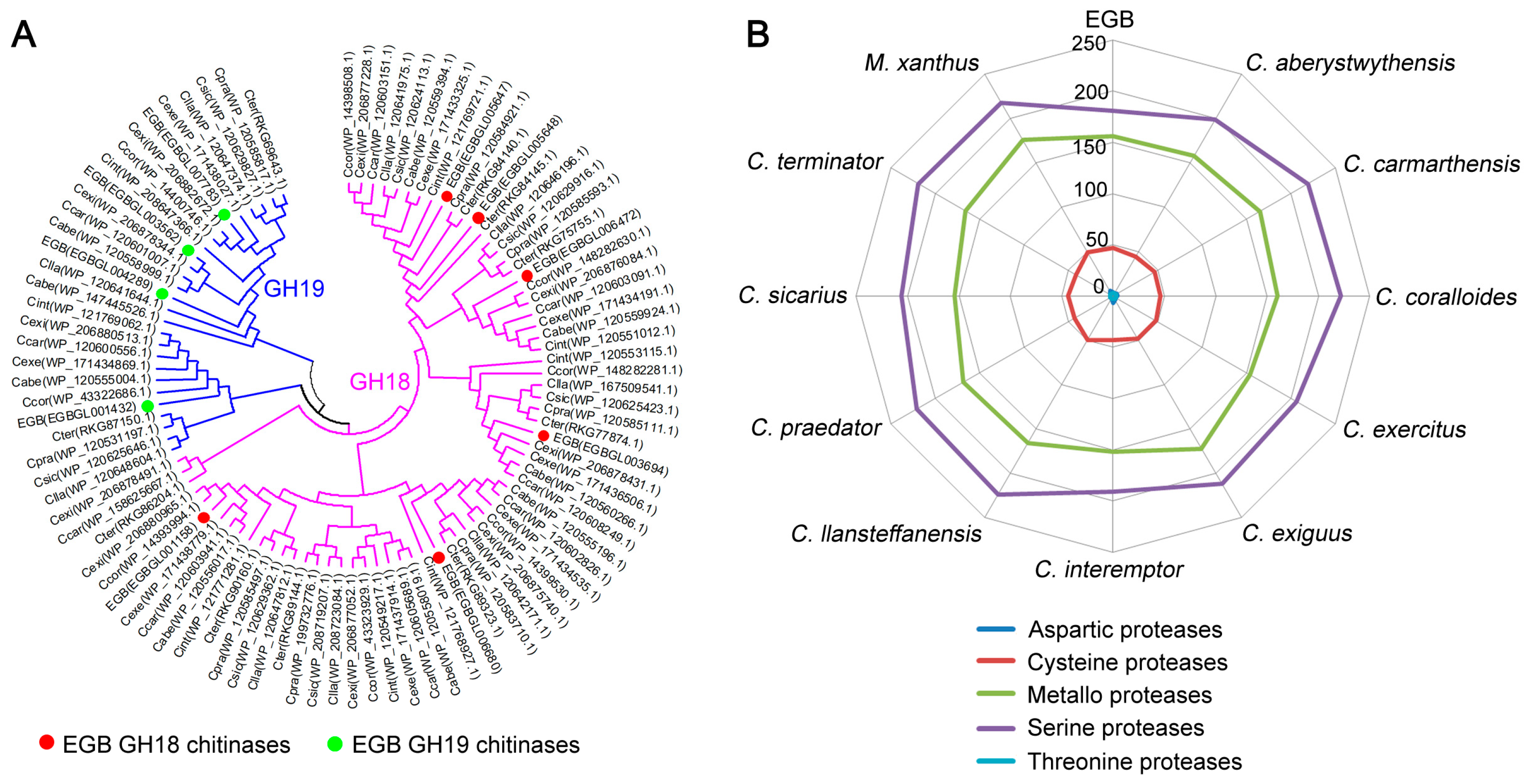 Genes 12 01421 g005