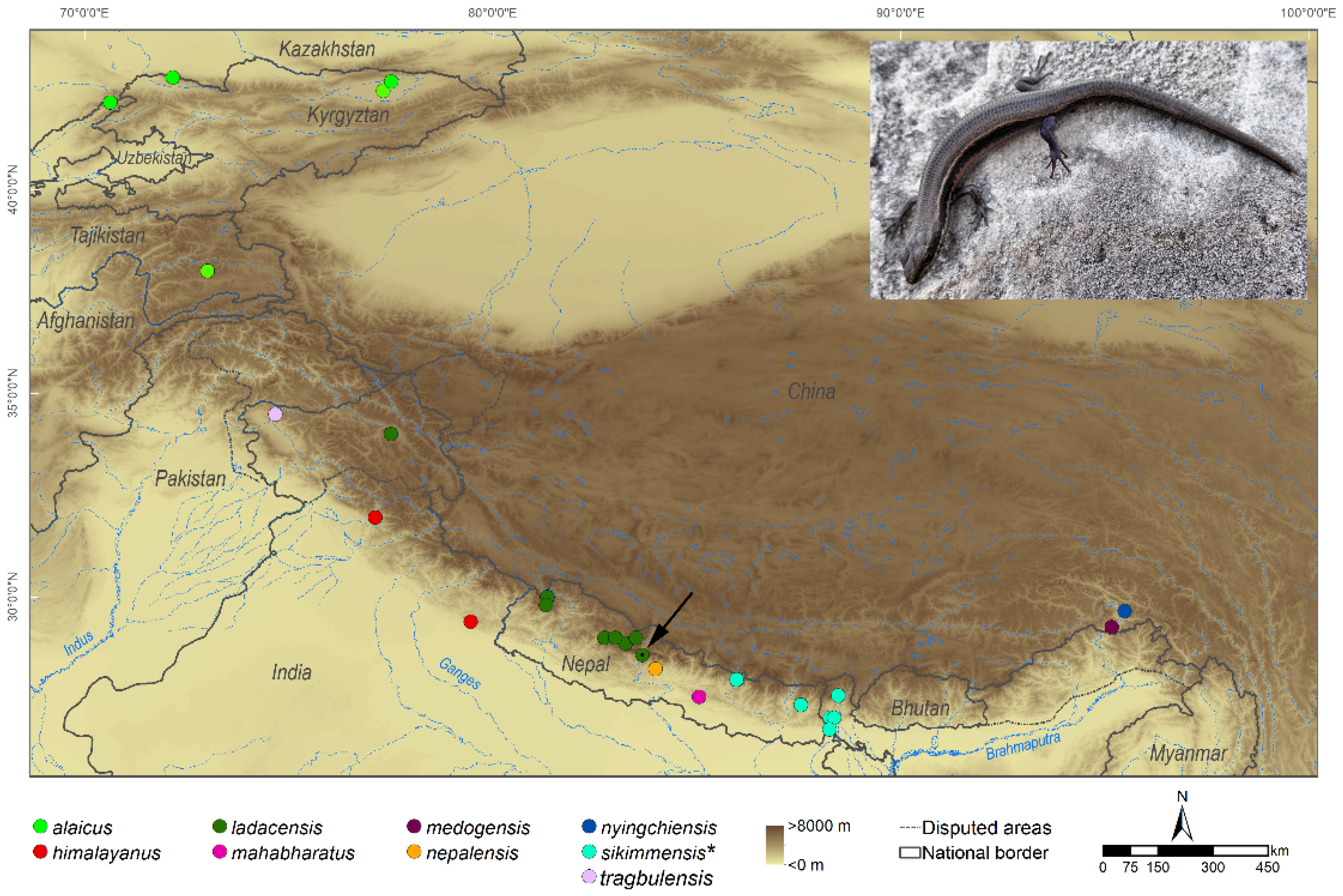 Genes 12 01423 g001 550