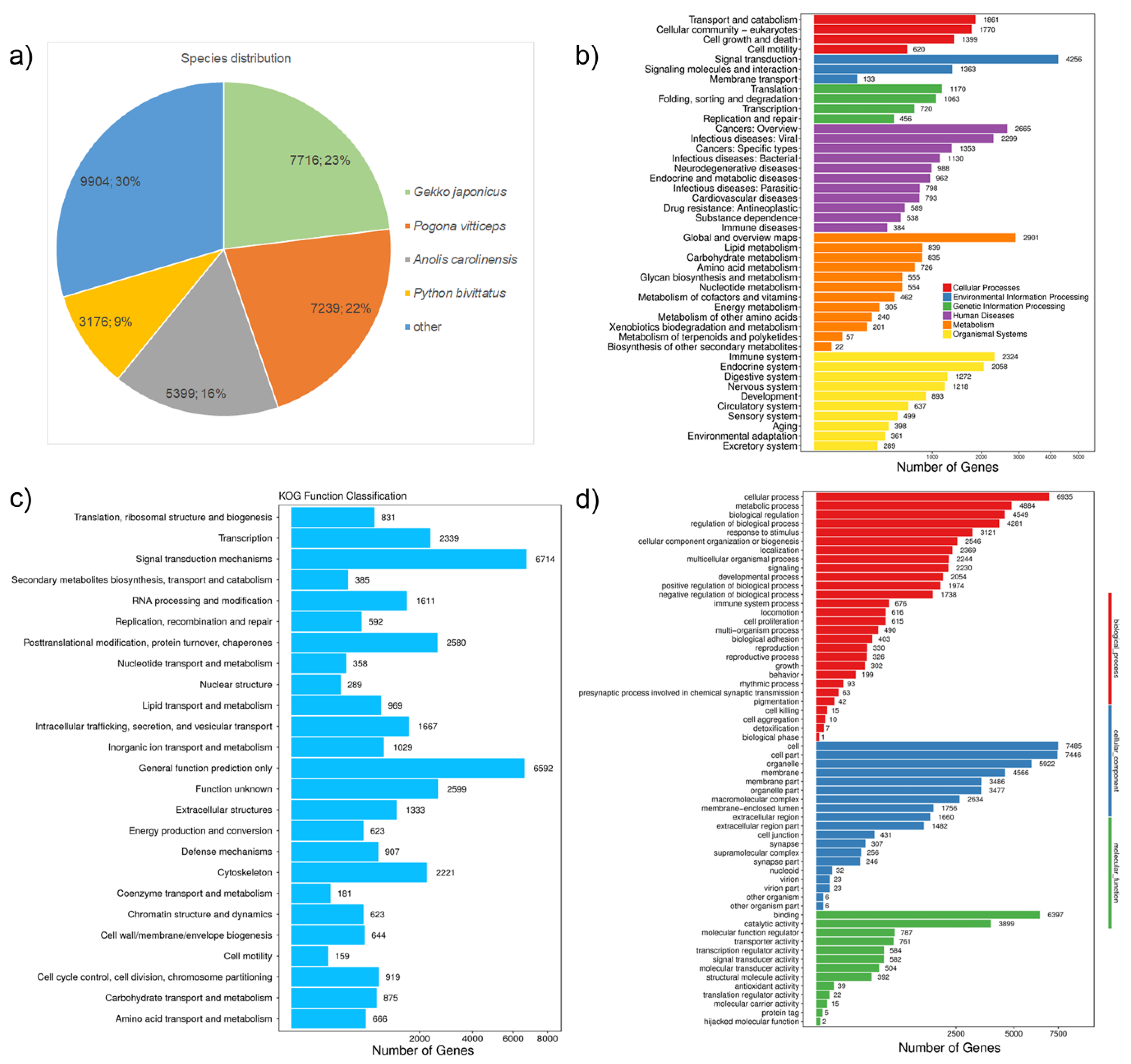 Genes 12 01423 g002 550