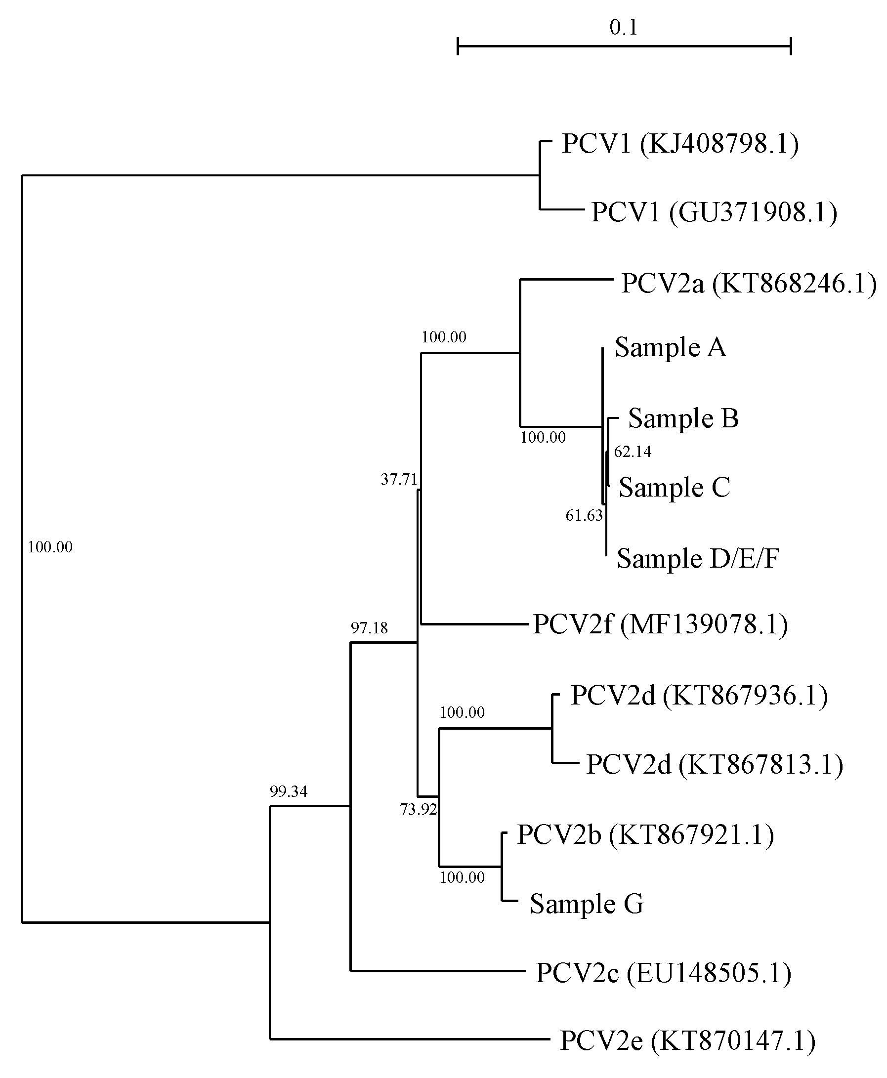 Genes 12 01424 g002 550