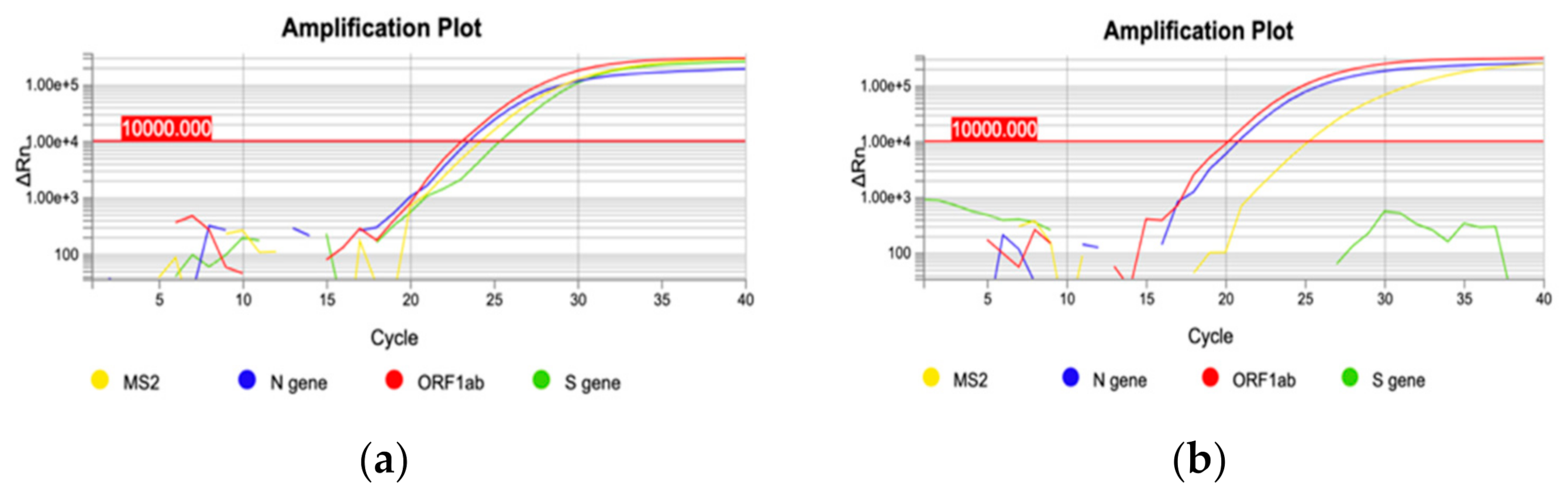 Genes 12 01428 g002 550