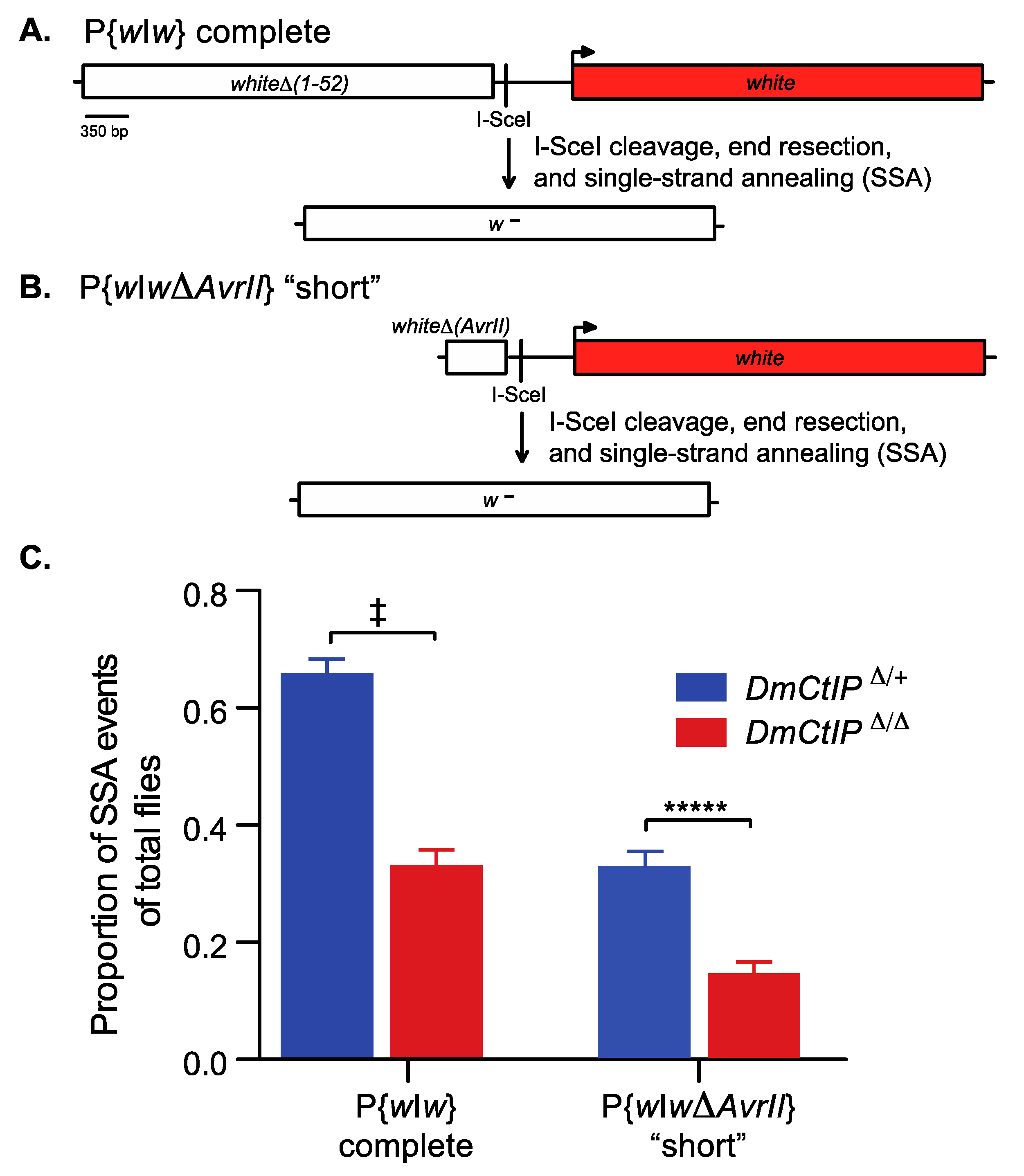 Genes 12 01430 g002 Genes 12 01430 g002
