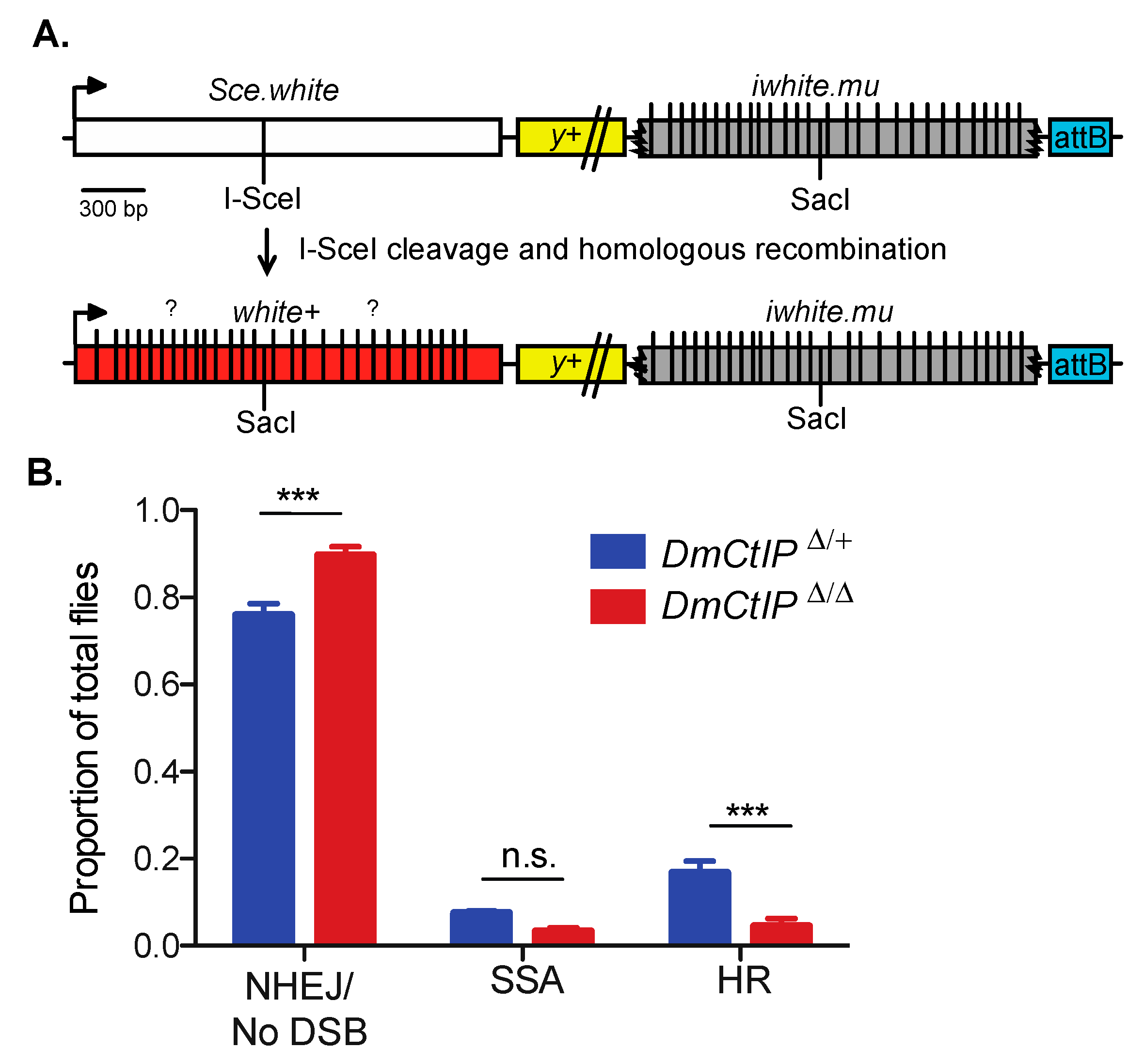 Genes 12 01430 g003 Genes 12 01430 g003