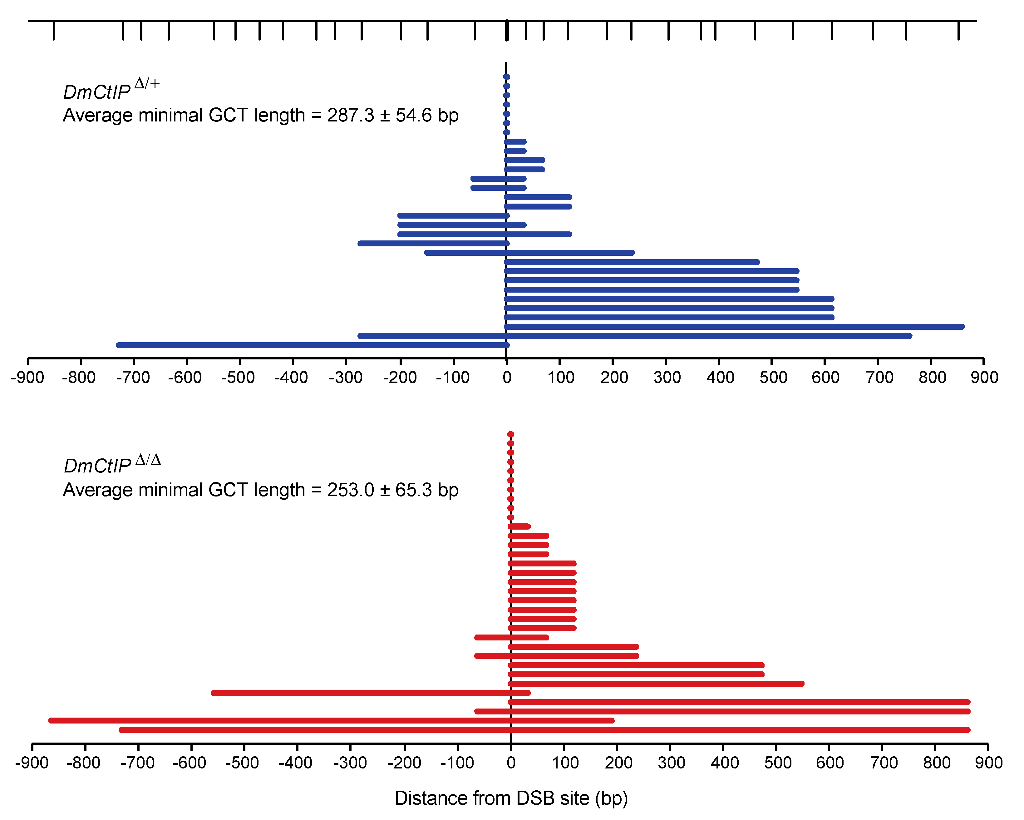 Genes 12 01430 g004 Genes 12 01430 g004