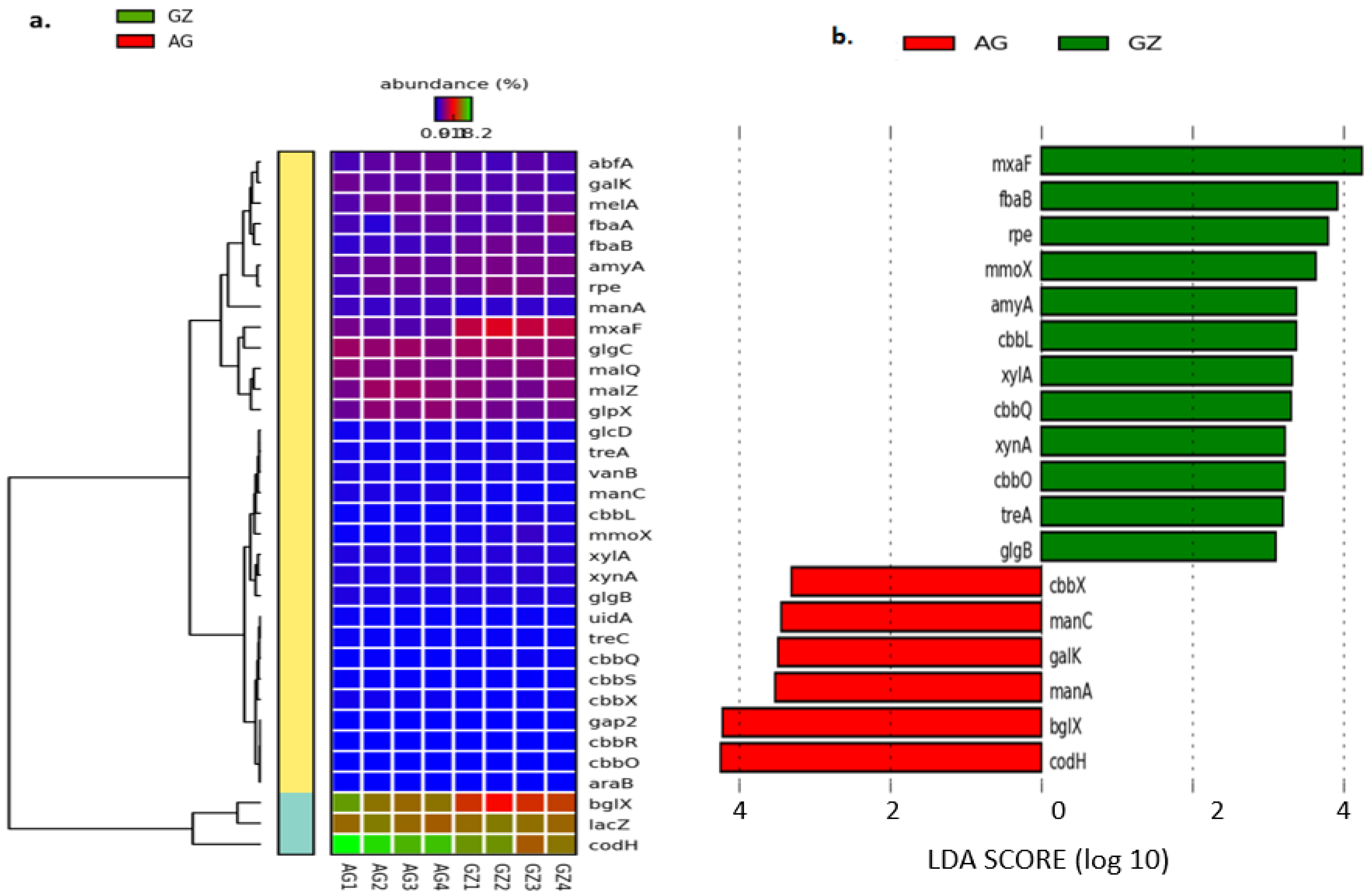 Genes 12 01431 g005 550