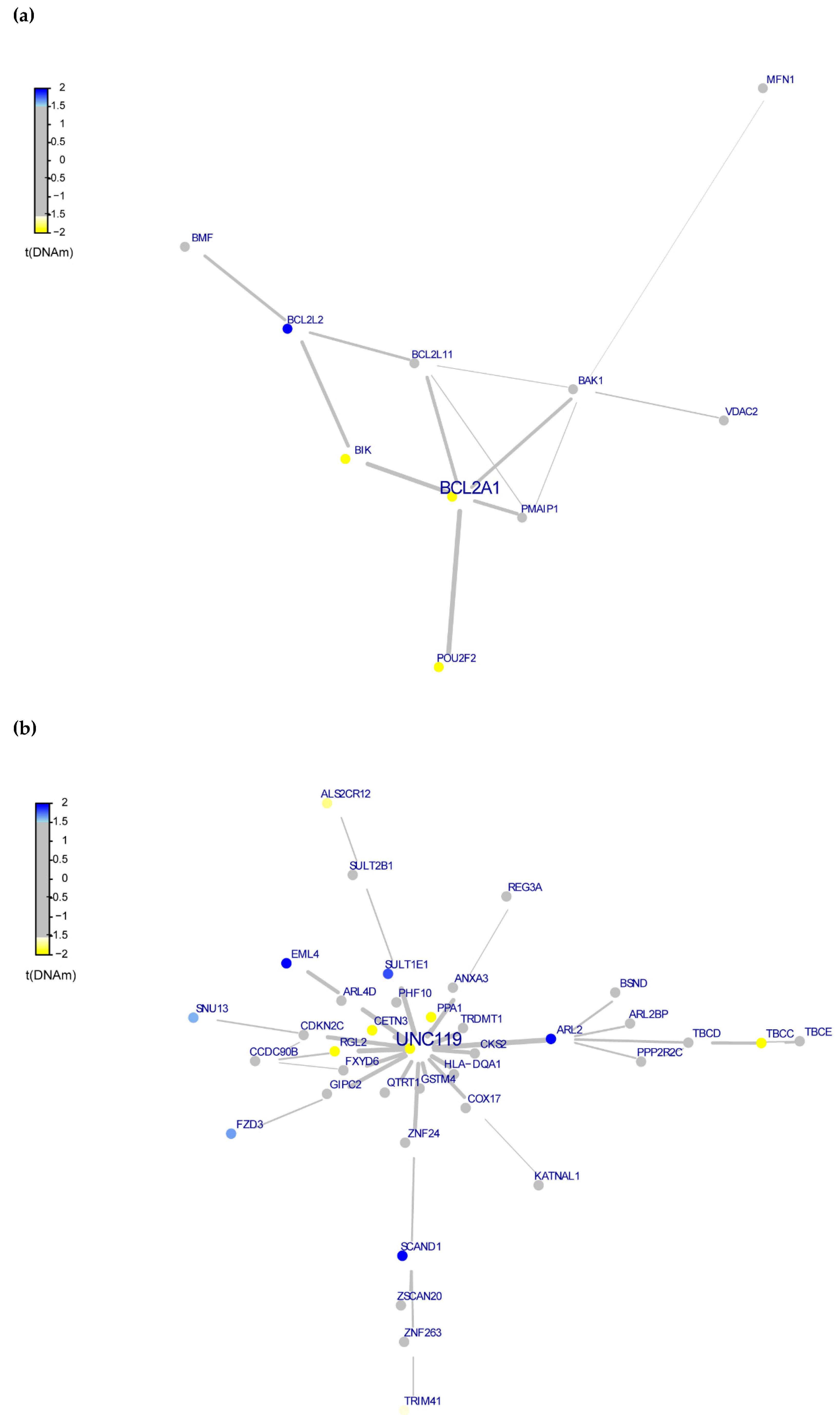 Genes 12 01433 g003a